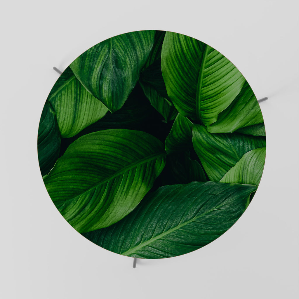 Table basse VIBRANT LEAFY EMBRACE 69