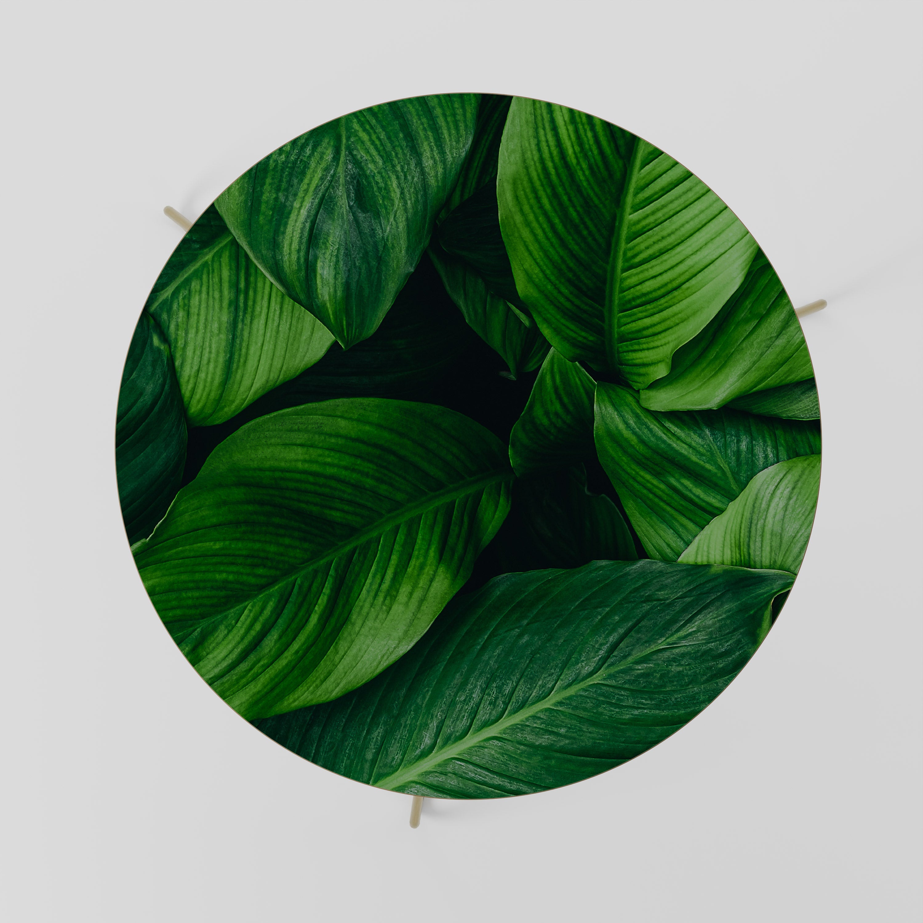 Table basse VIBRANT LEAFY EMBRACE 69