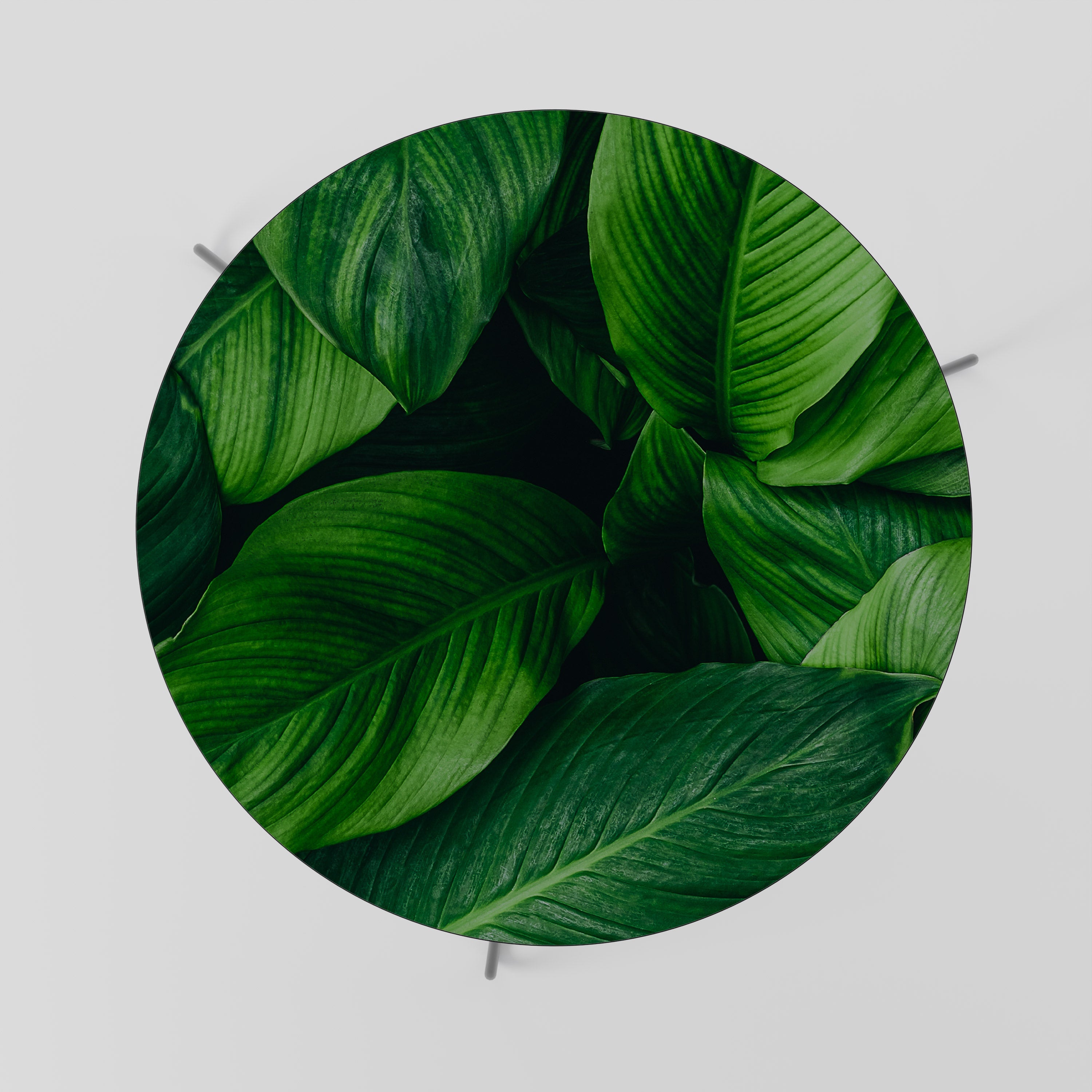 Table basse VIBRANT LEAFY EMBRACE 69