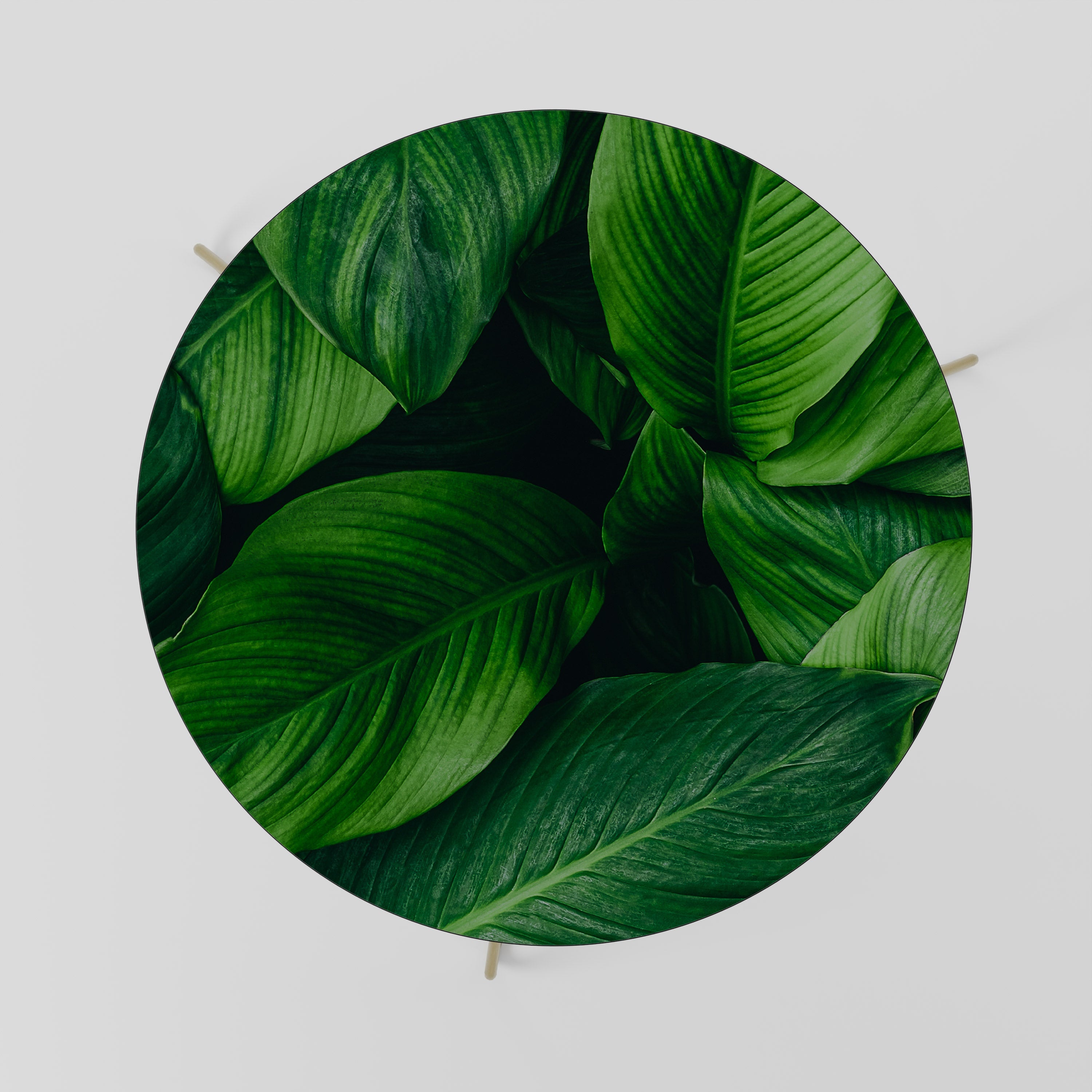 Table basse VIBRANT LEAFY EMBRACE 69