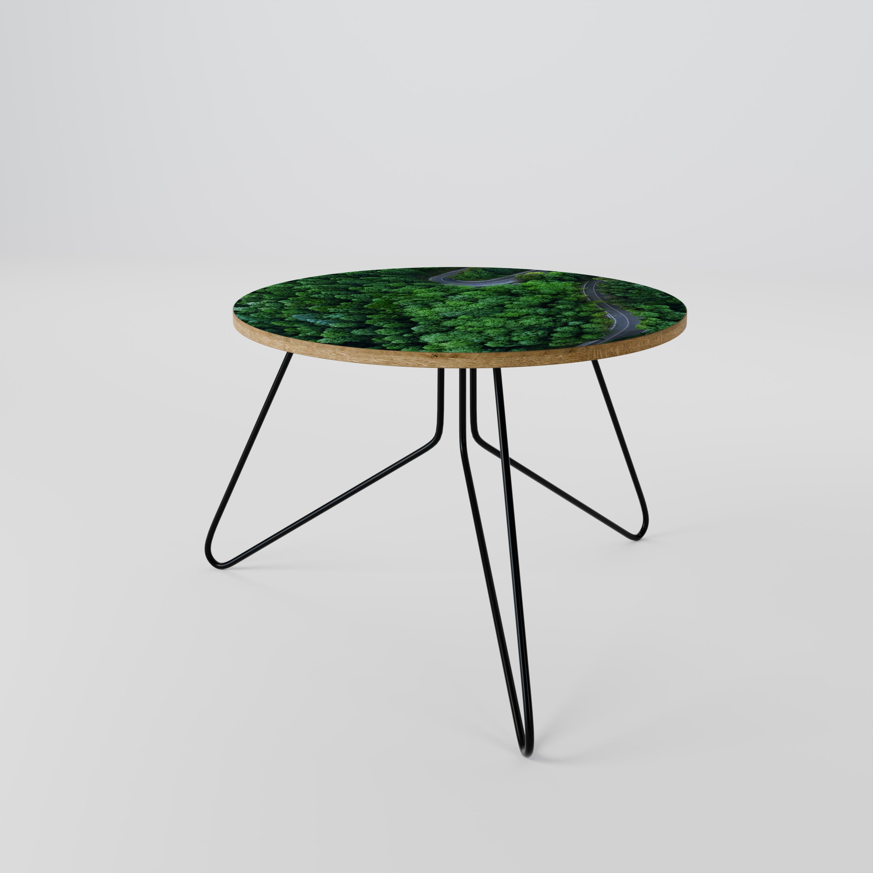 ENCHANTED FOREST RIDE Coffee Table