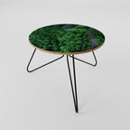ENCHANTED FOREST RIDE Coffee Table