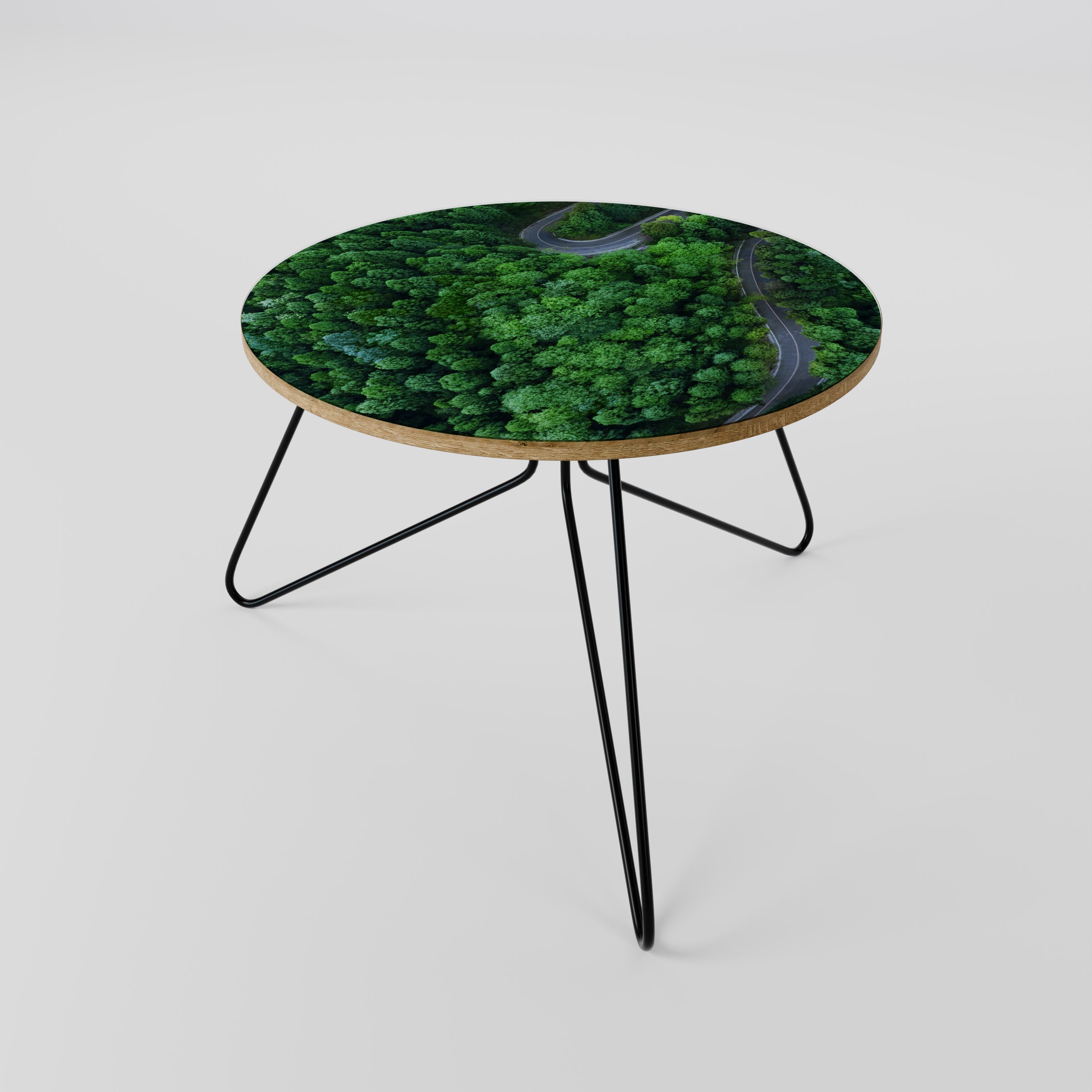 ENCHANTED FOREST RIDE Coffee Table 60
