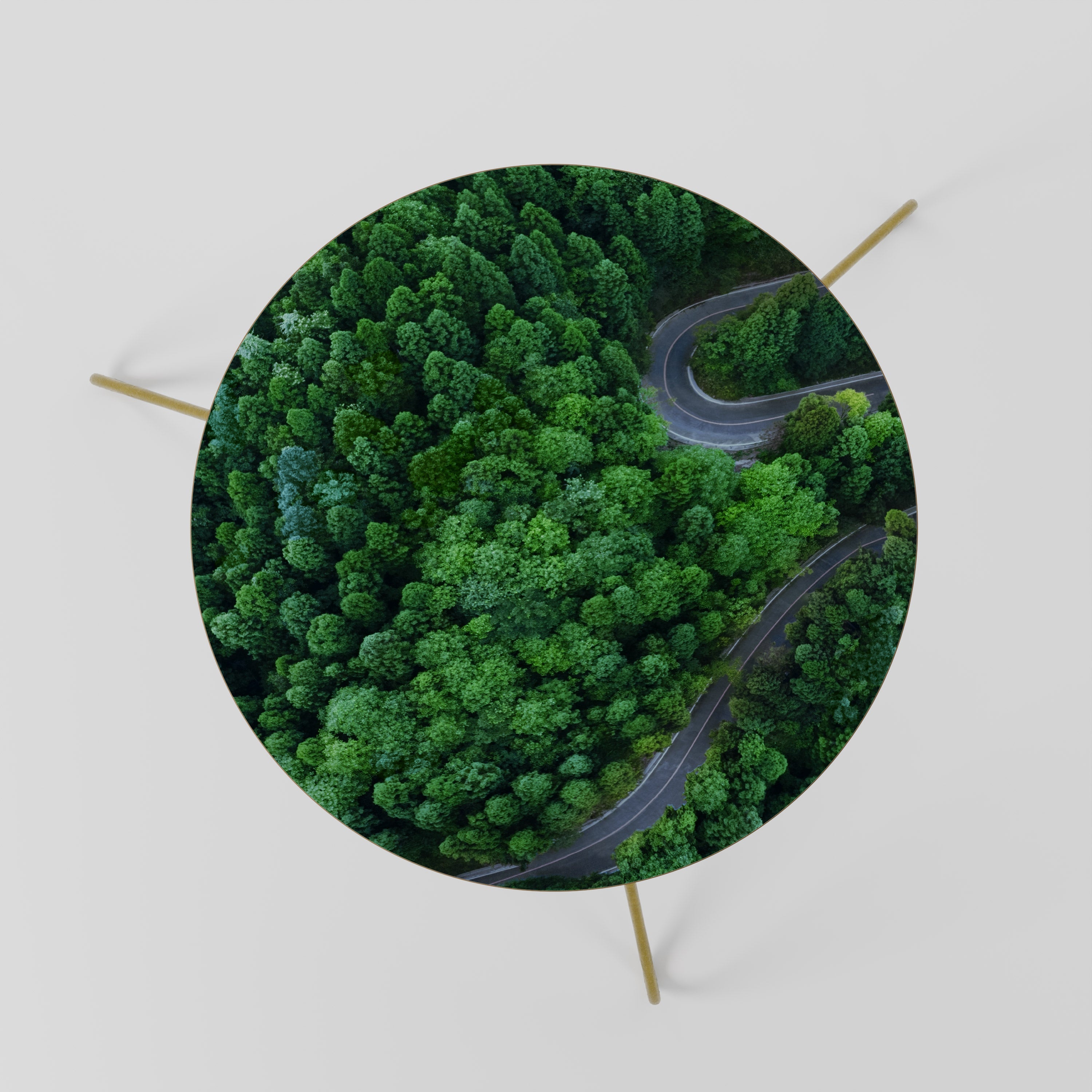 ENCHANTED FOREST RIDE Coffee Table 60