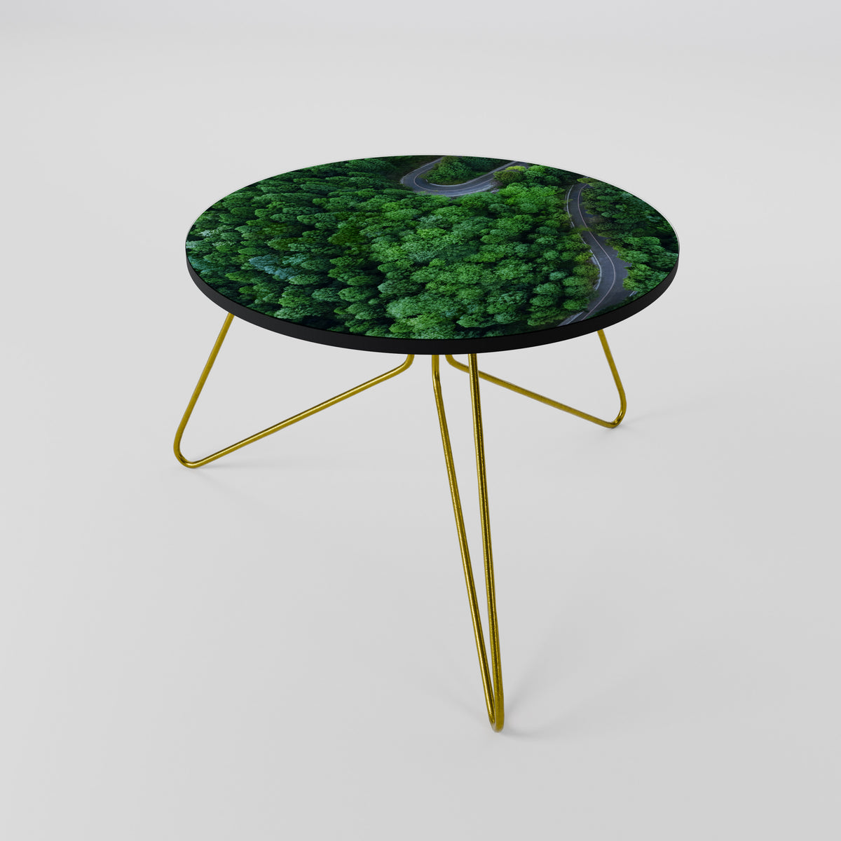 ENCHANTED FOREST RIDE Coffee Table