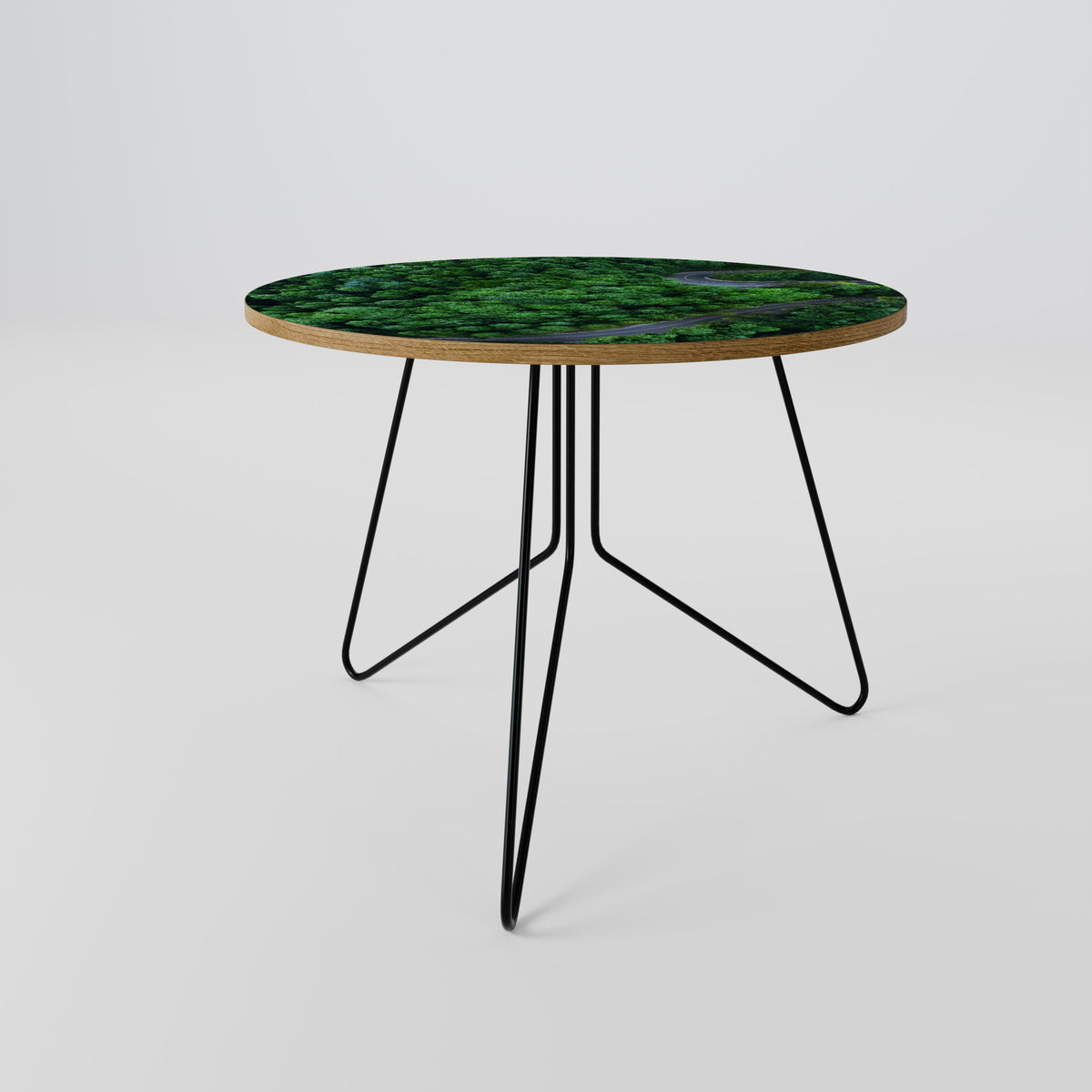 ENCHANTED FOREST RIDE Coffee Table