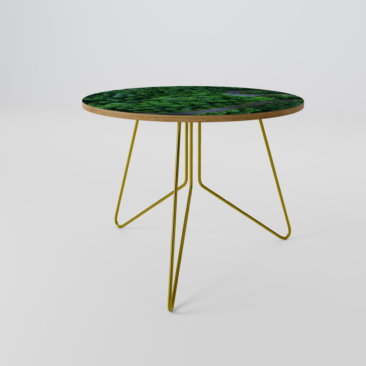ENCHANTED FOREST RIDE Coffee Table