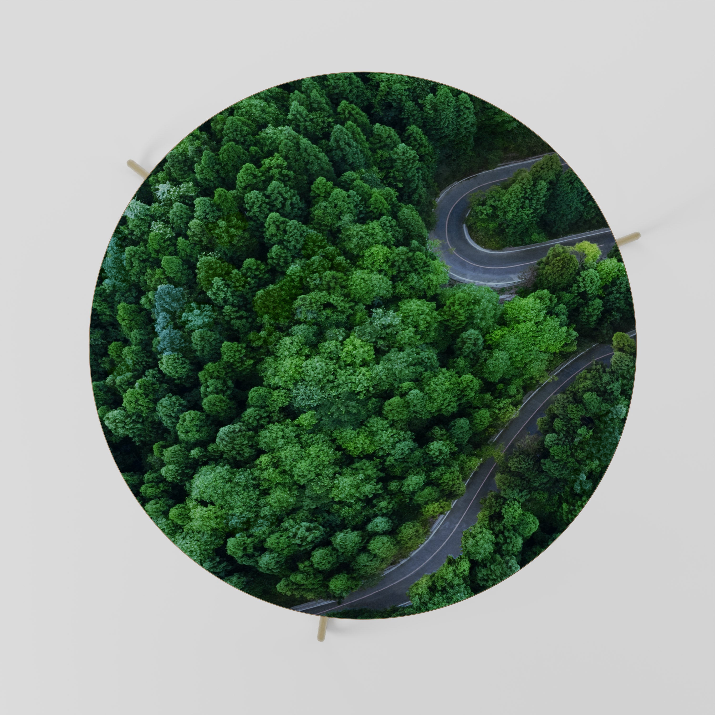 Table basse ENCHANTED FOREST RIDE 69