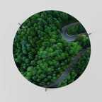 ENCHANTED FOREST RIDE Coffee Table