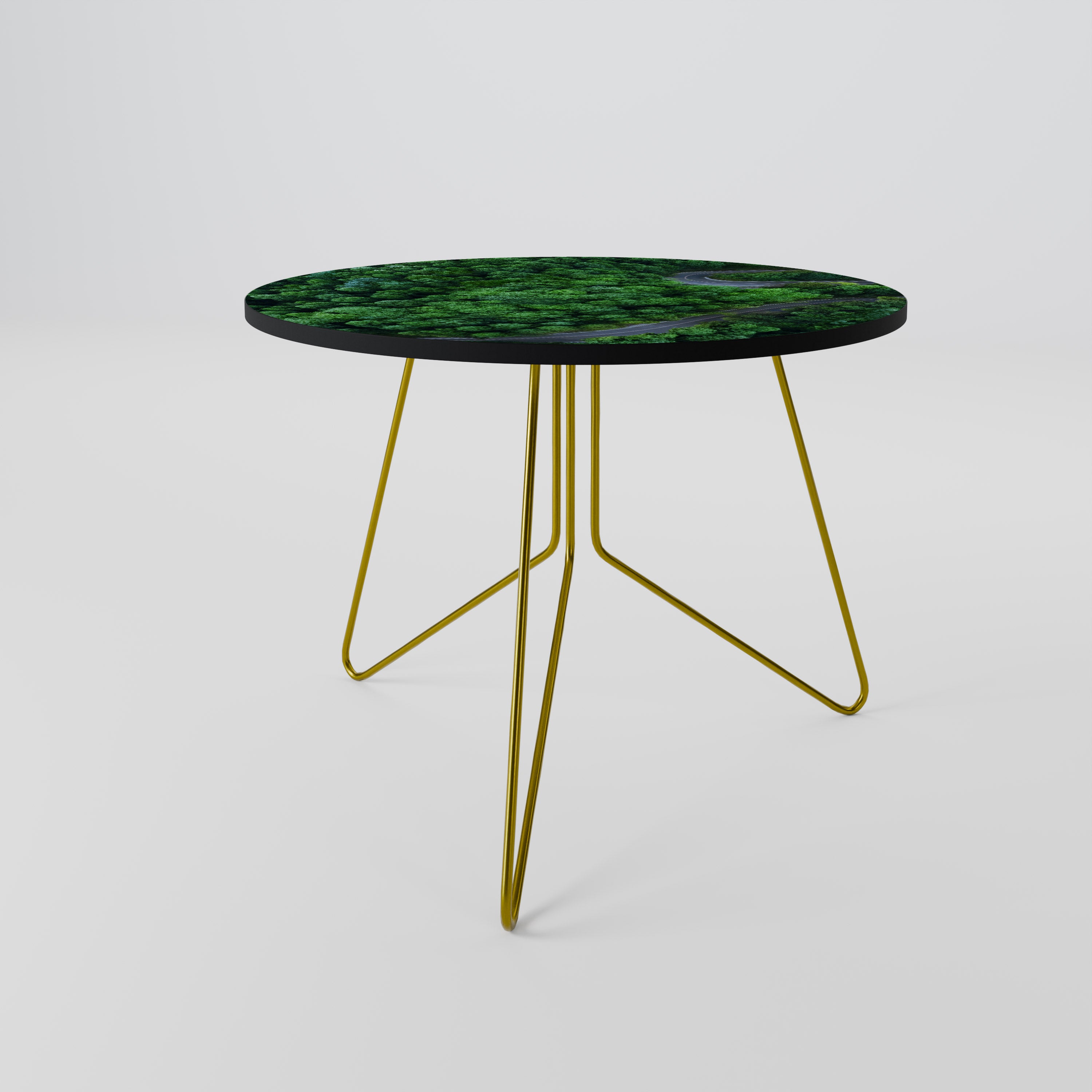 ENCHANTED FOREST RIDE Coffee Table