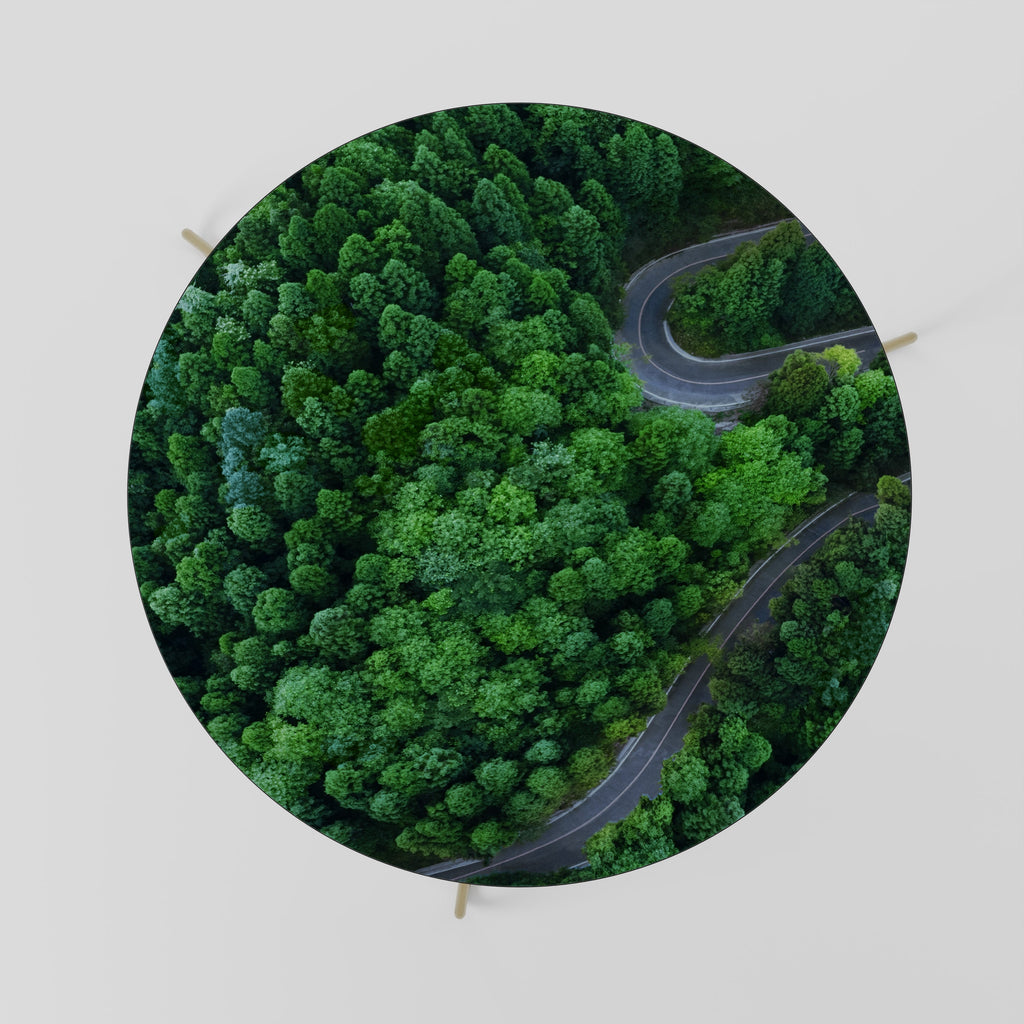 Table basse ENCHANTED FOREST RIDE 69