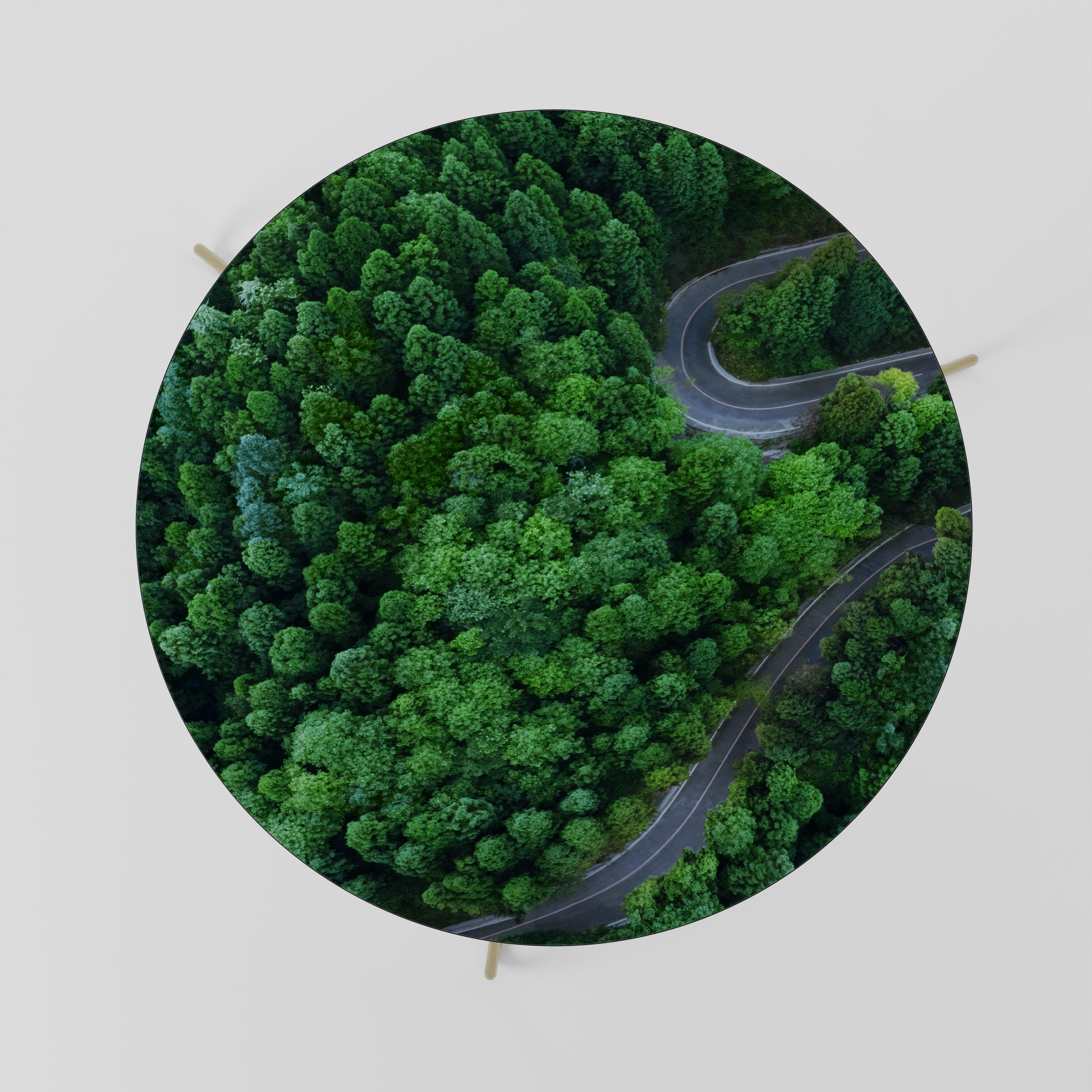 Table basse ENCHANTED FOREST RIDE 69