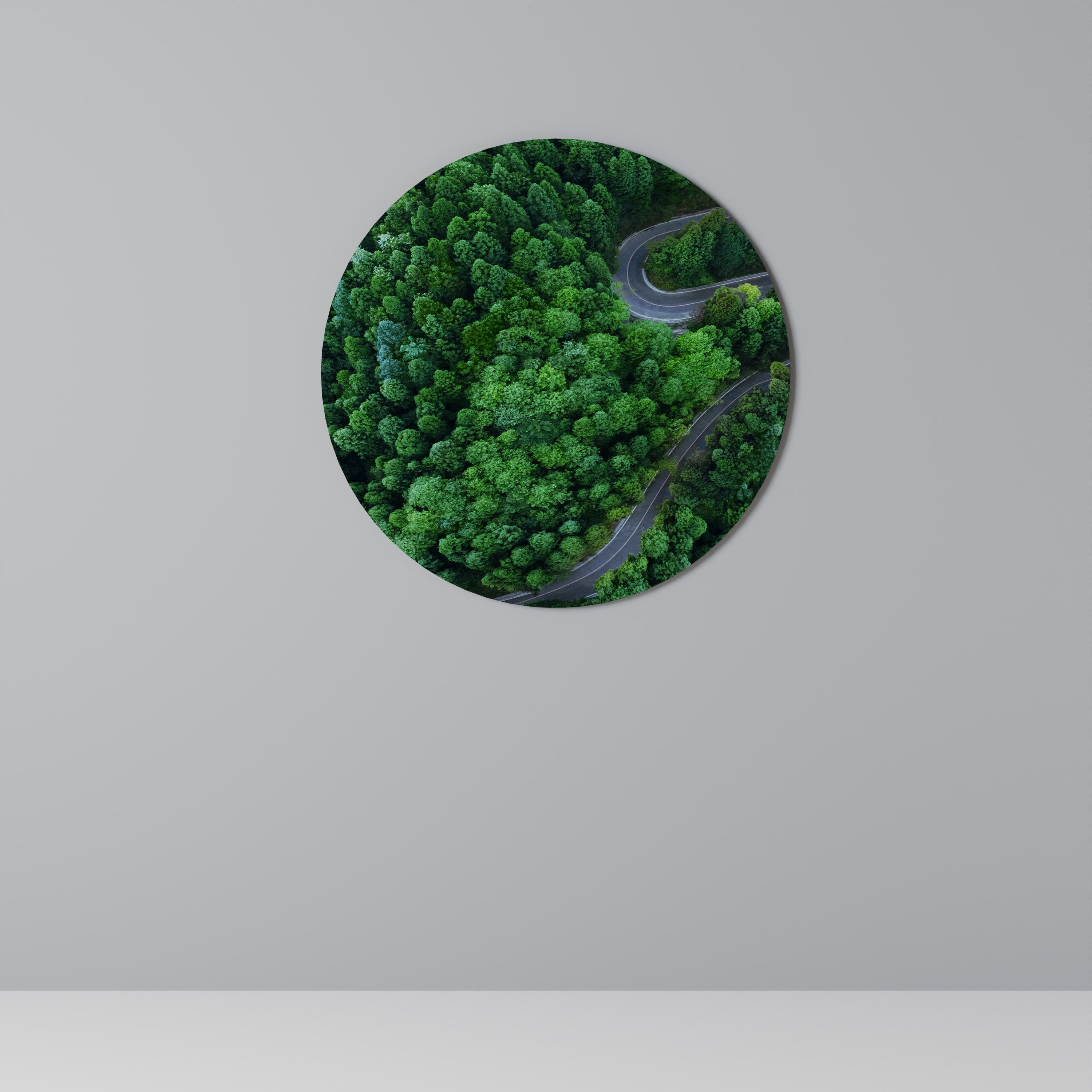 Art mural rond ENCHANTED FOREST RIDE