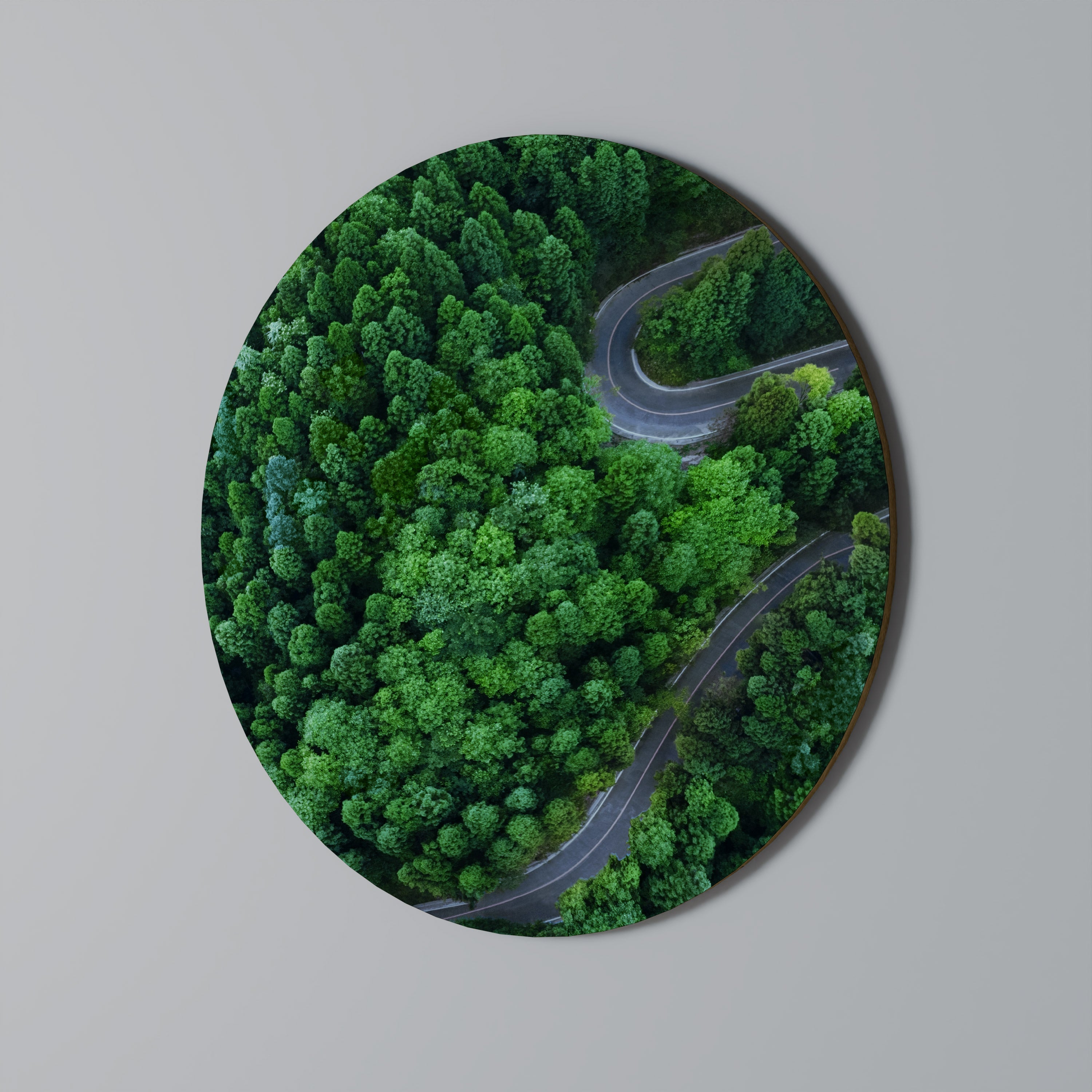 Art mural rond ENCHANTED FOREST RIDE