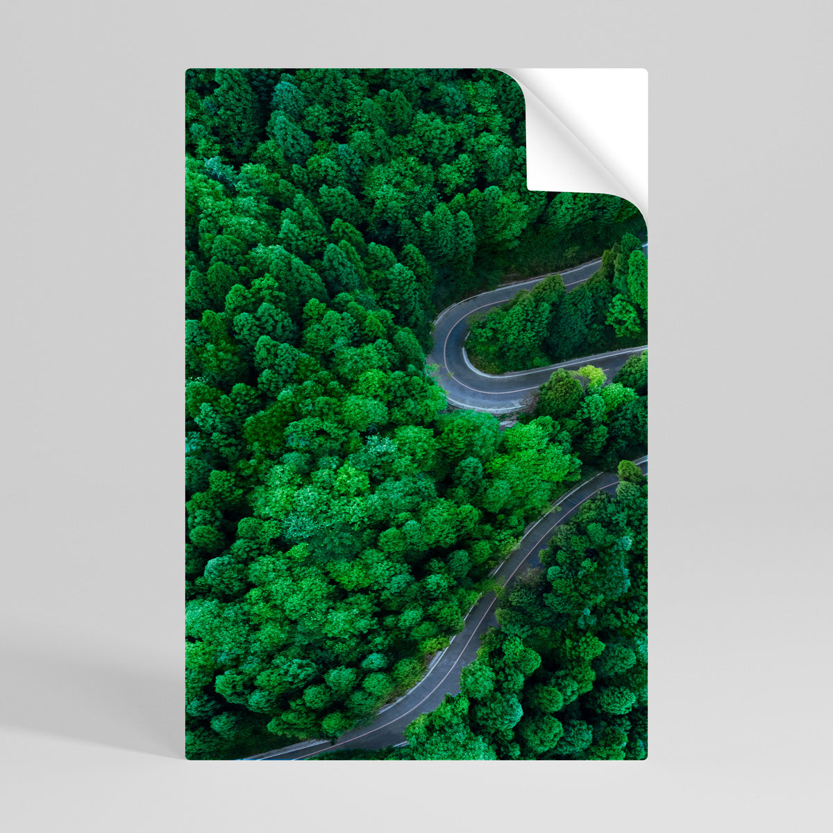 ENCHANTED FOREST RIDE Peel and Stick Vertical Poster