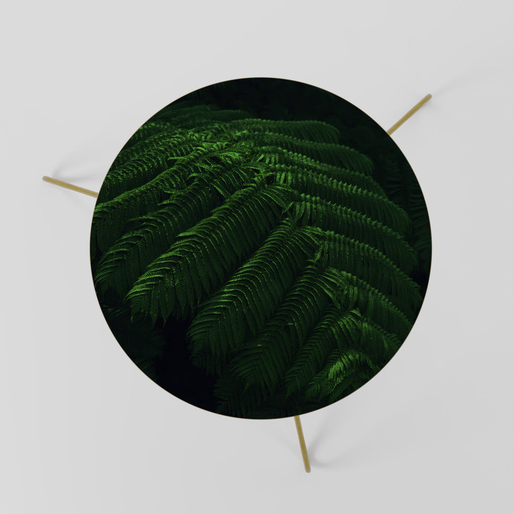 FERN FANTASY Coffee Table 60