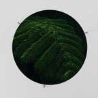 FERN FANTASY Coffee Table