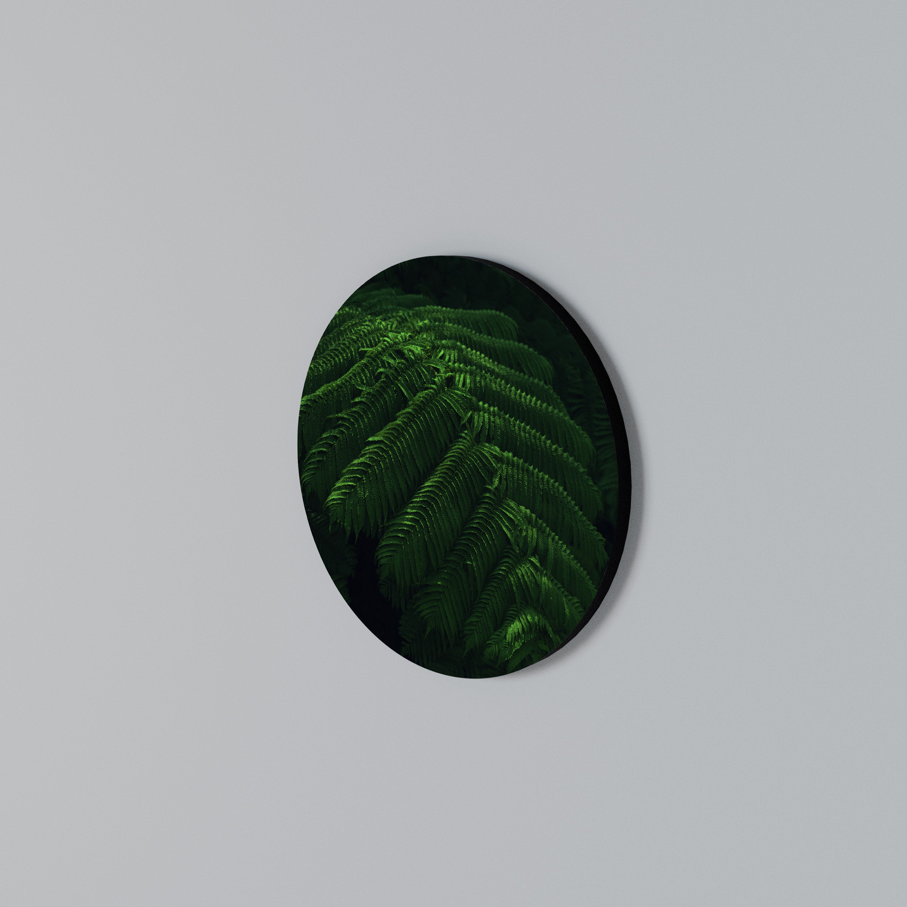 FERN FANTASY Round Wall Art