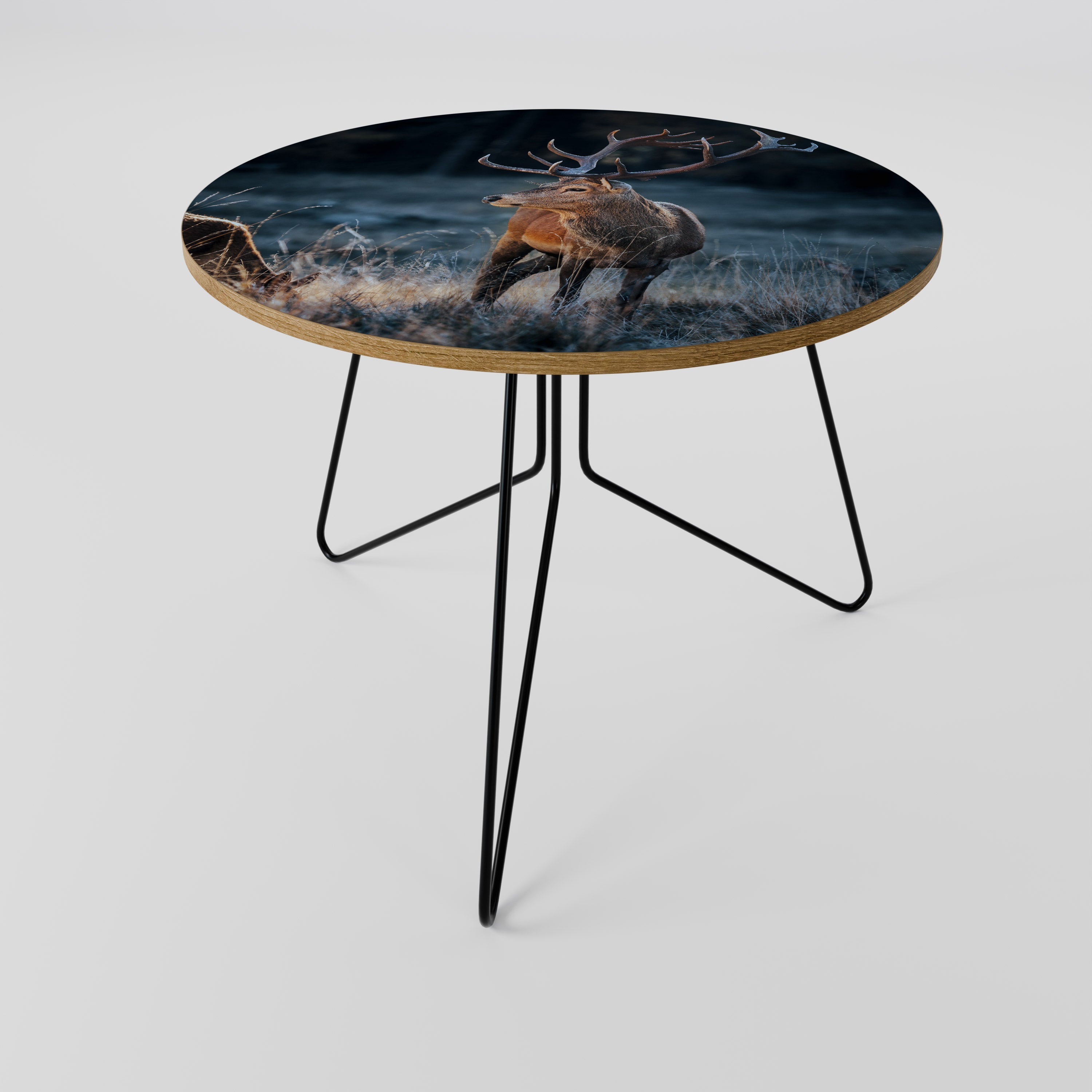 Table basse ANTLERED REGALITY 69
