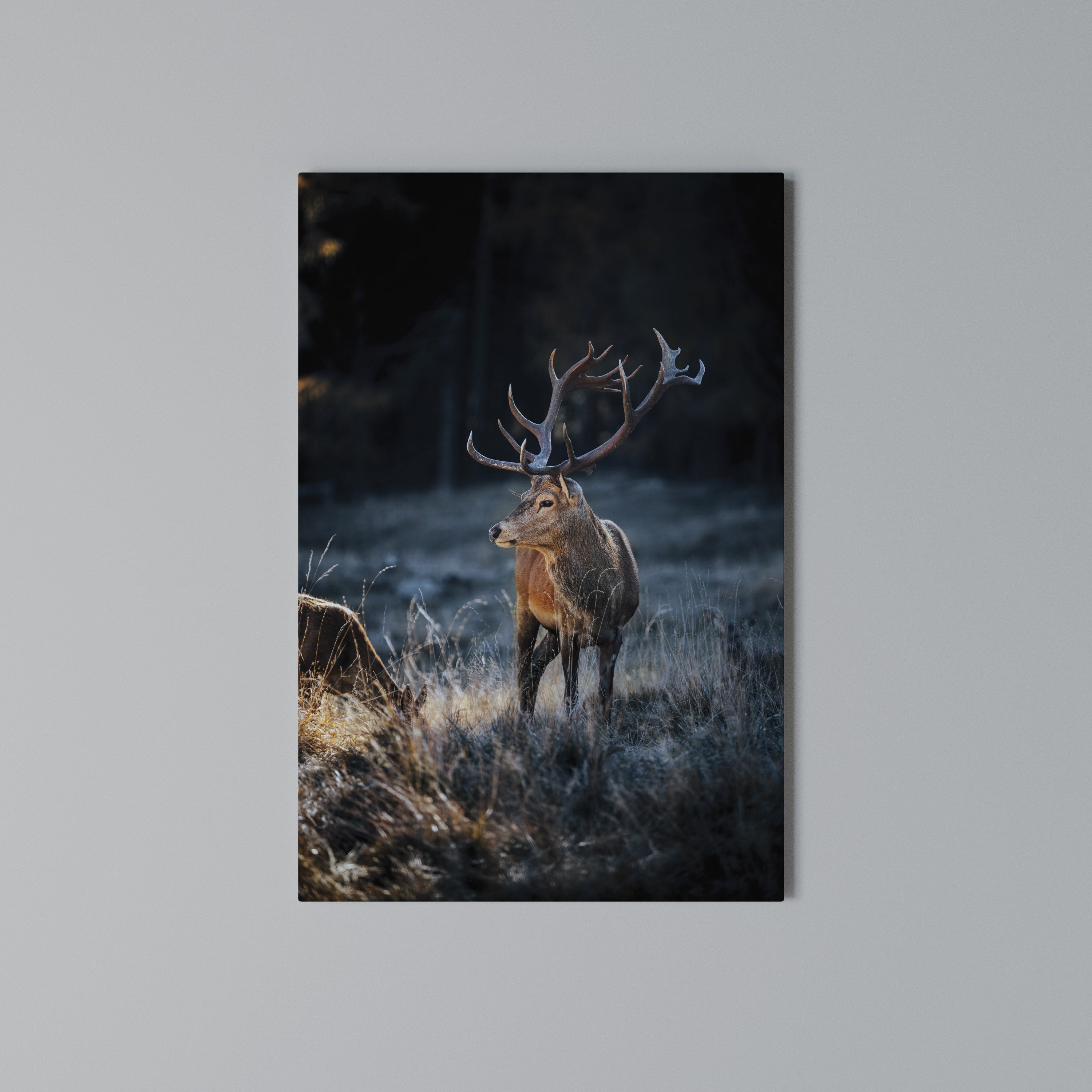 ANTLERED REGALITY Vertical Canvas Print
