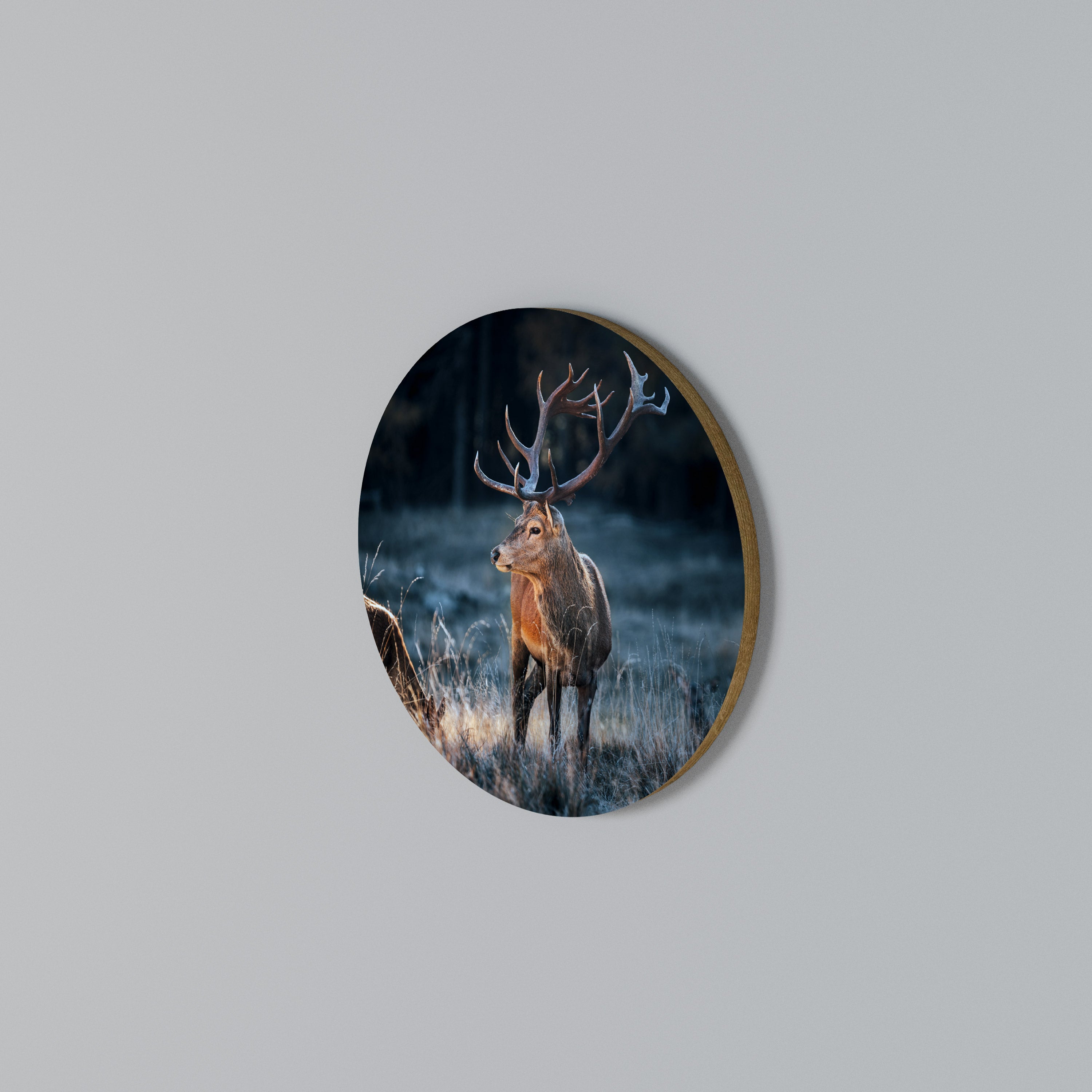 ANTLERED REGALITY Round Wall Art