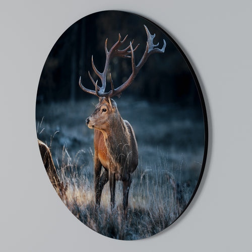 ANTLERED REGALITY Round Wall Art