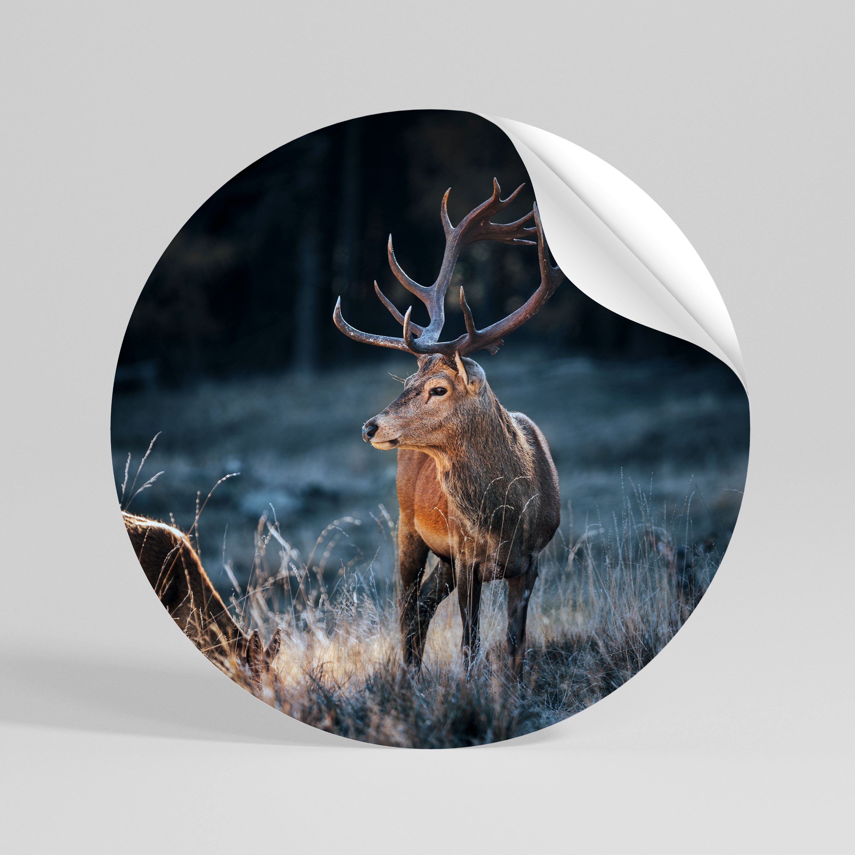 ANTLERED REGALITY Peel and Stick Round Sticker