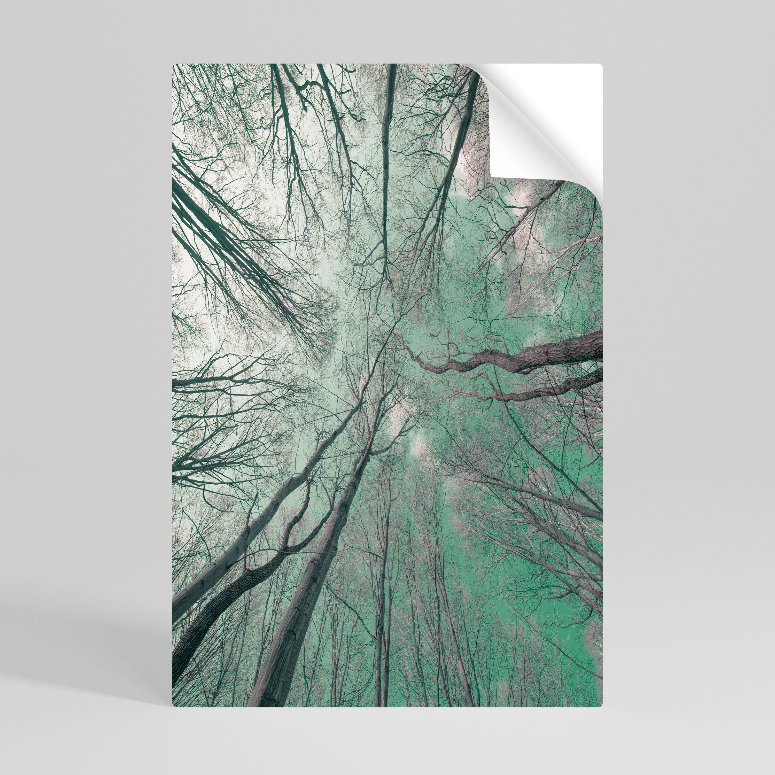 Affiche verticale autocollante « SKYWARD FANTASIES »