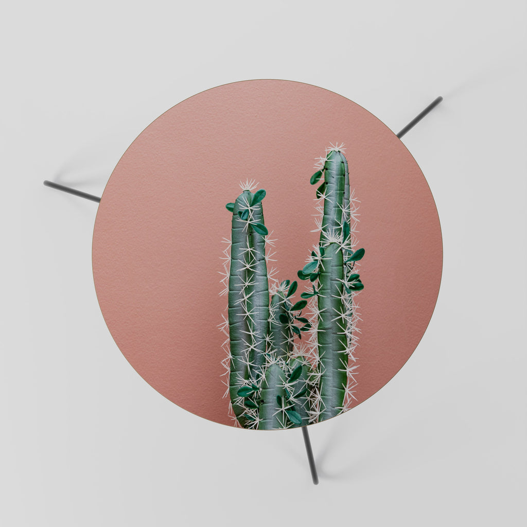 LORD CACTUS Coffee Table 60