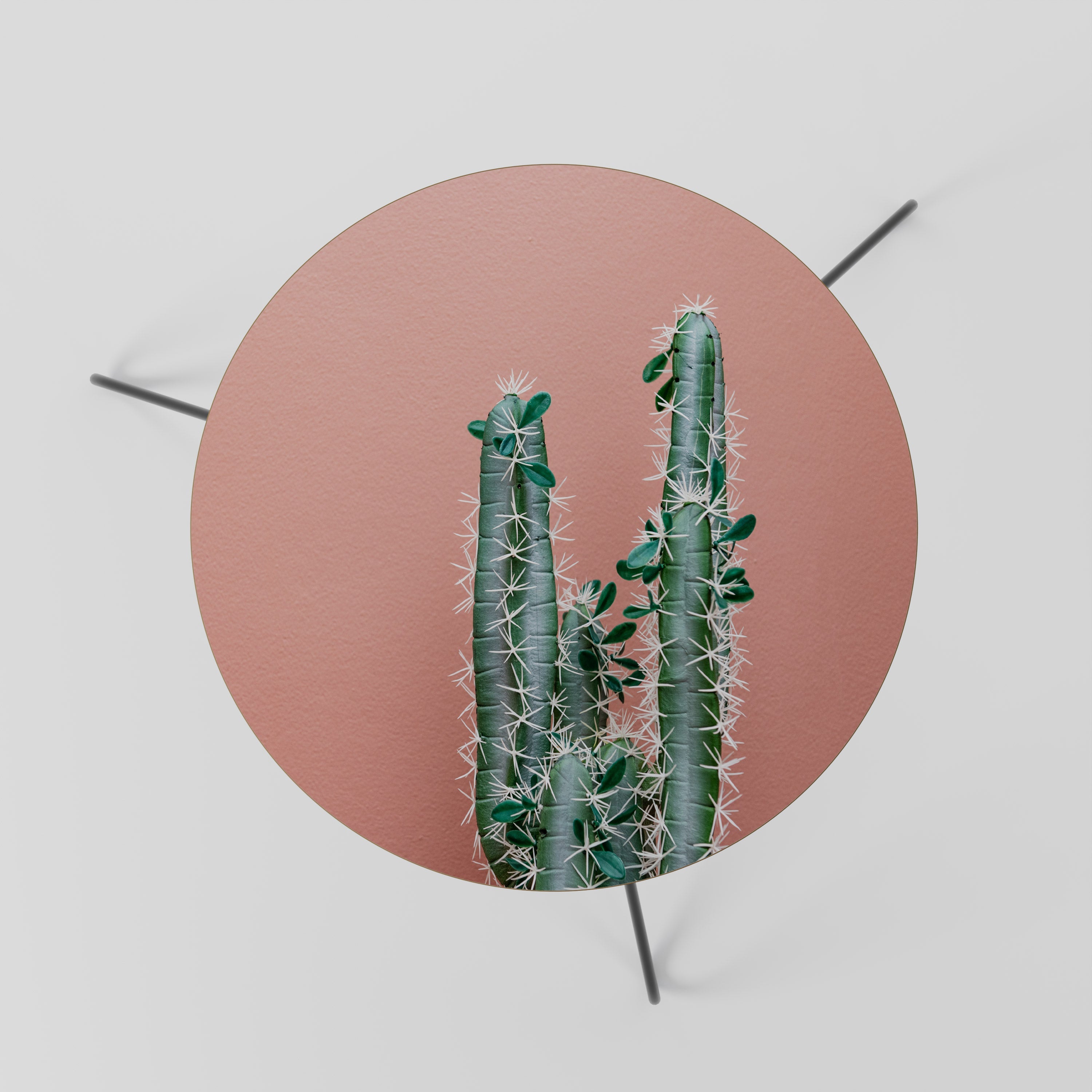 LORD CACTUS Coffee Table 60