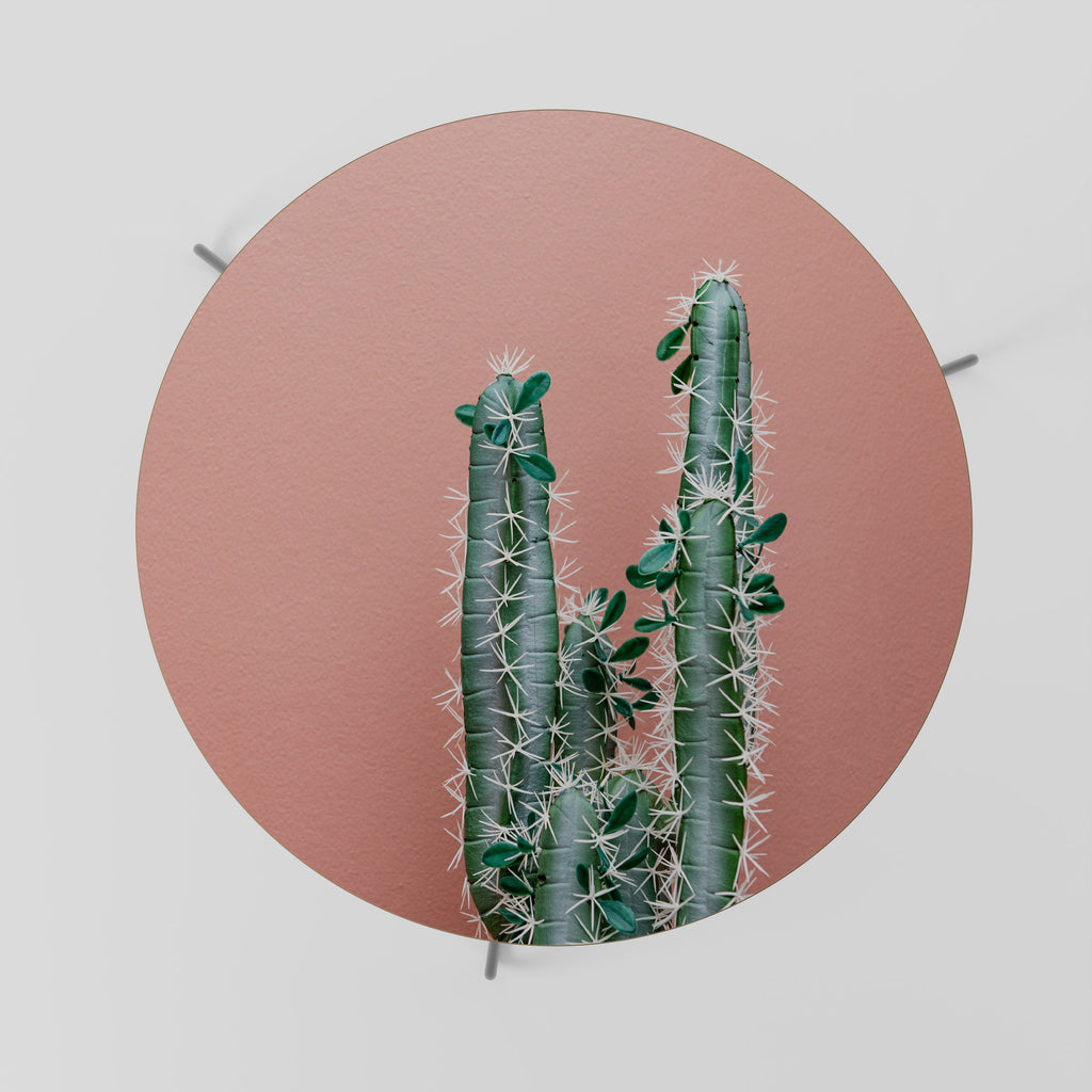 Table basse LORD CACTUS 69