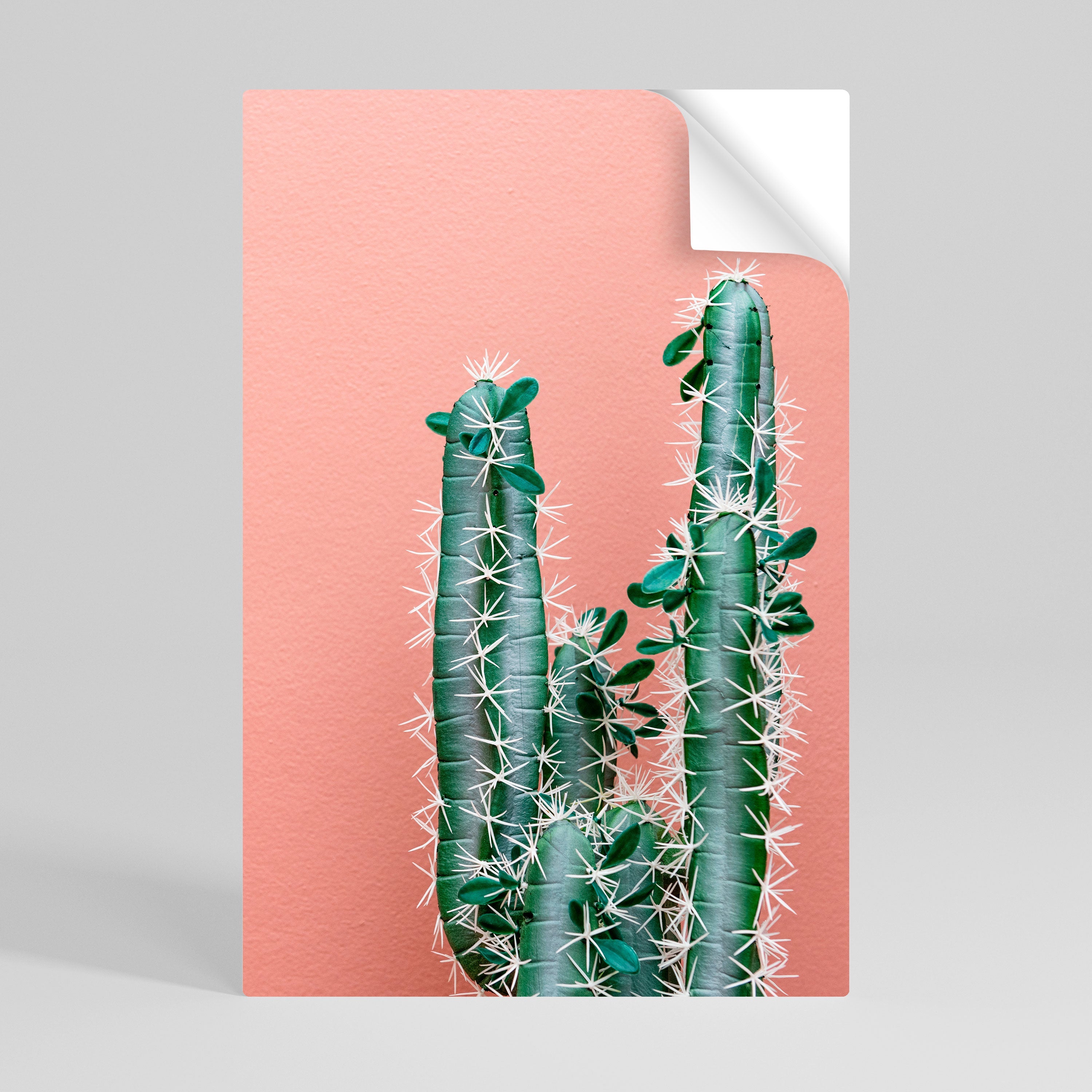 Affiche verticale autocollante LORD CACTUS