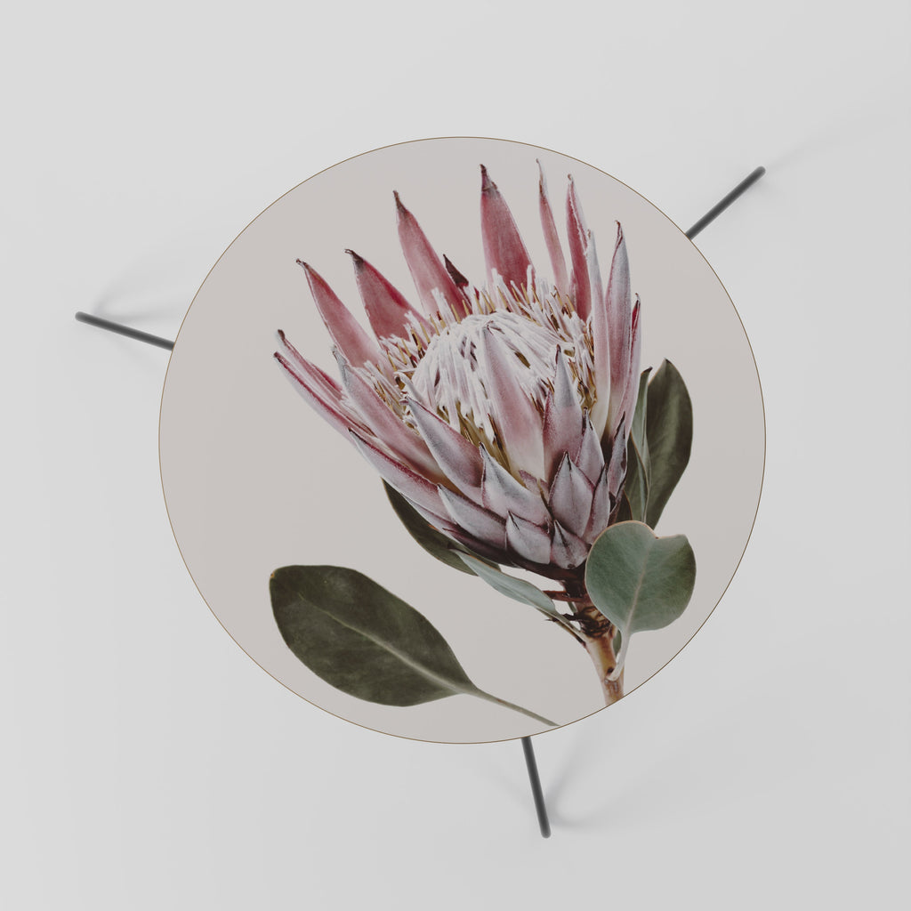 PROTEA FLOWER Coffee Table 60
