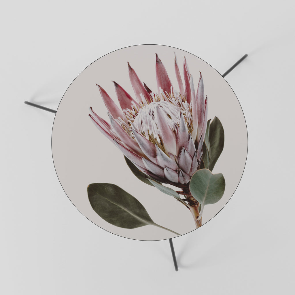 PROTEA FLOWER Coffee Table 60