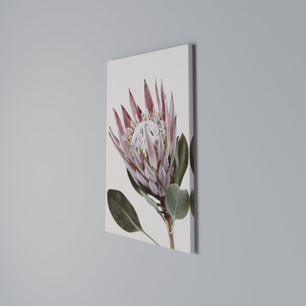 PROTEA FLOWER Vertical Canvas Print