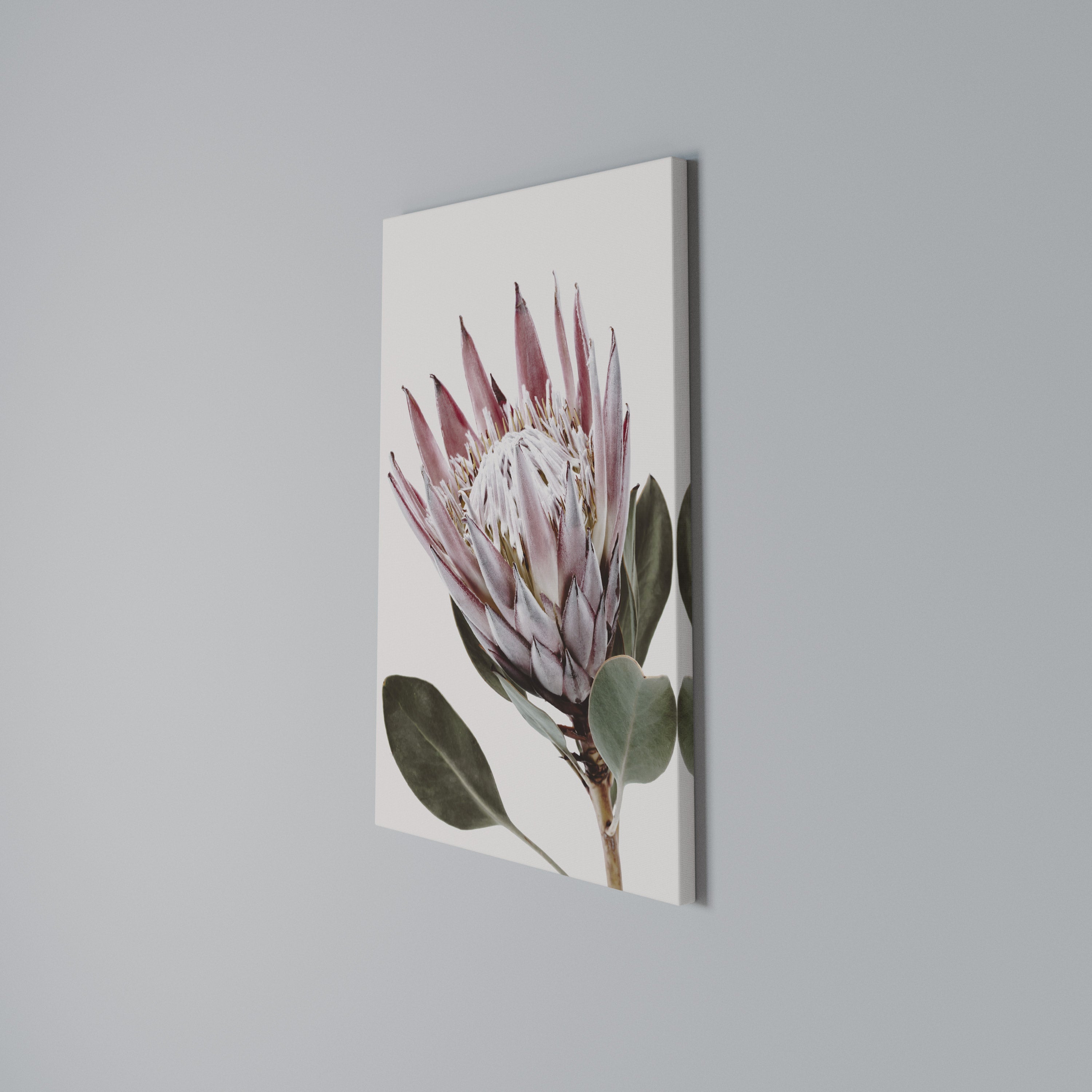 PROTEA FLOWER Vertical Canvas Print