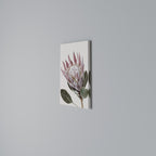 PROTEA FLOWER Vertical Canvas Print