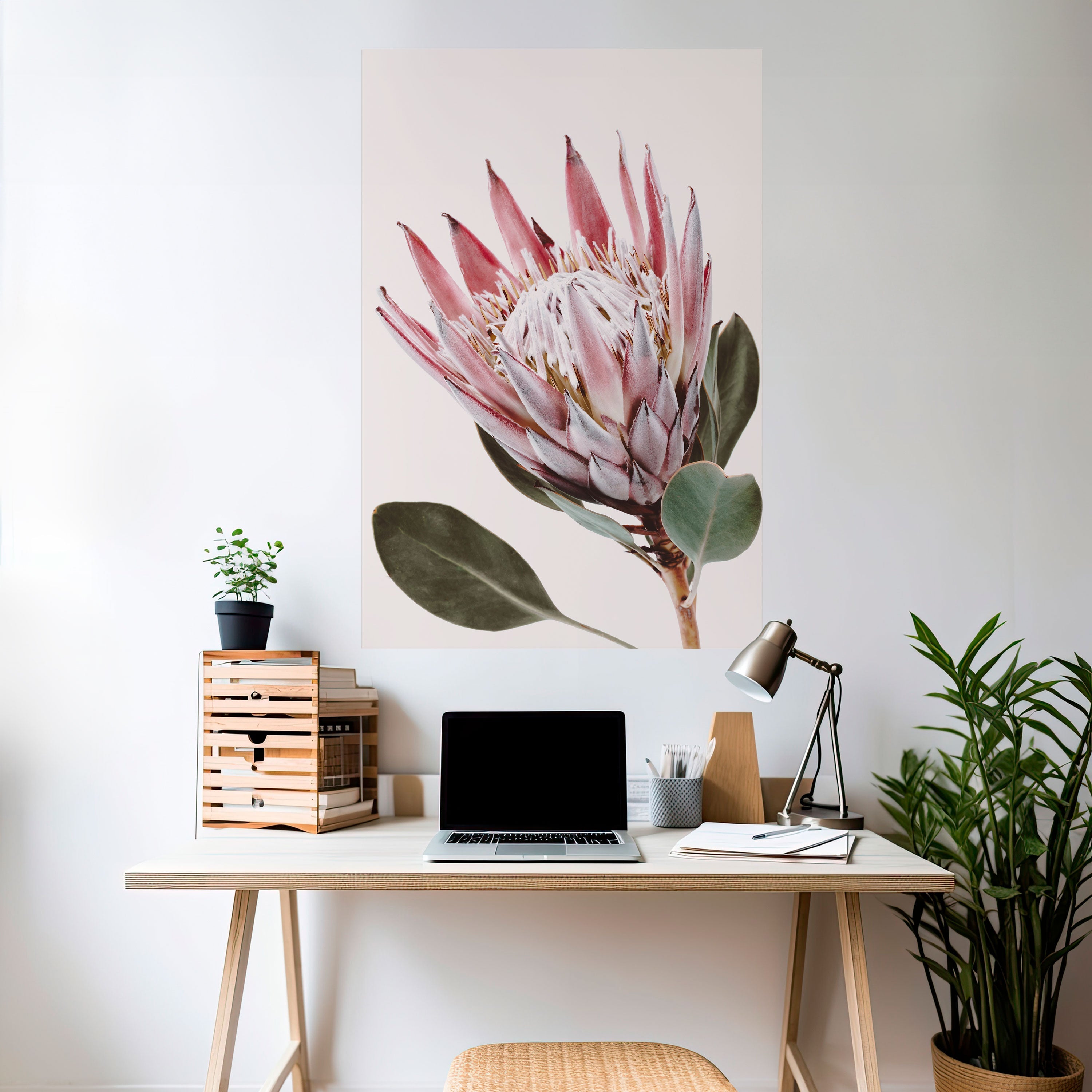 Affiche verticale autocollante « FLEUR DE PROTEA »
