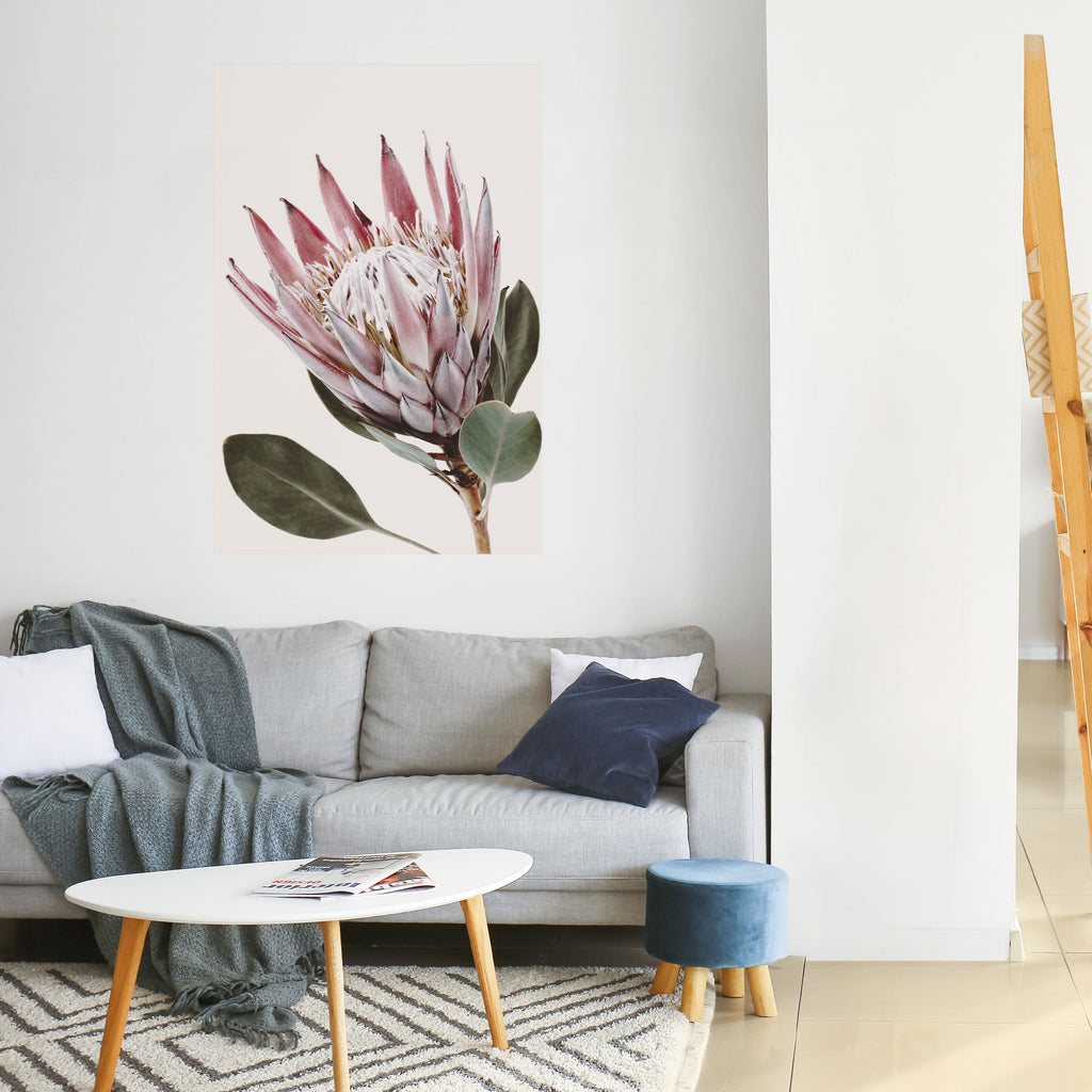 Affiche verticale autocollante « FLEUR DE PROTEA »