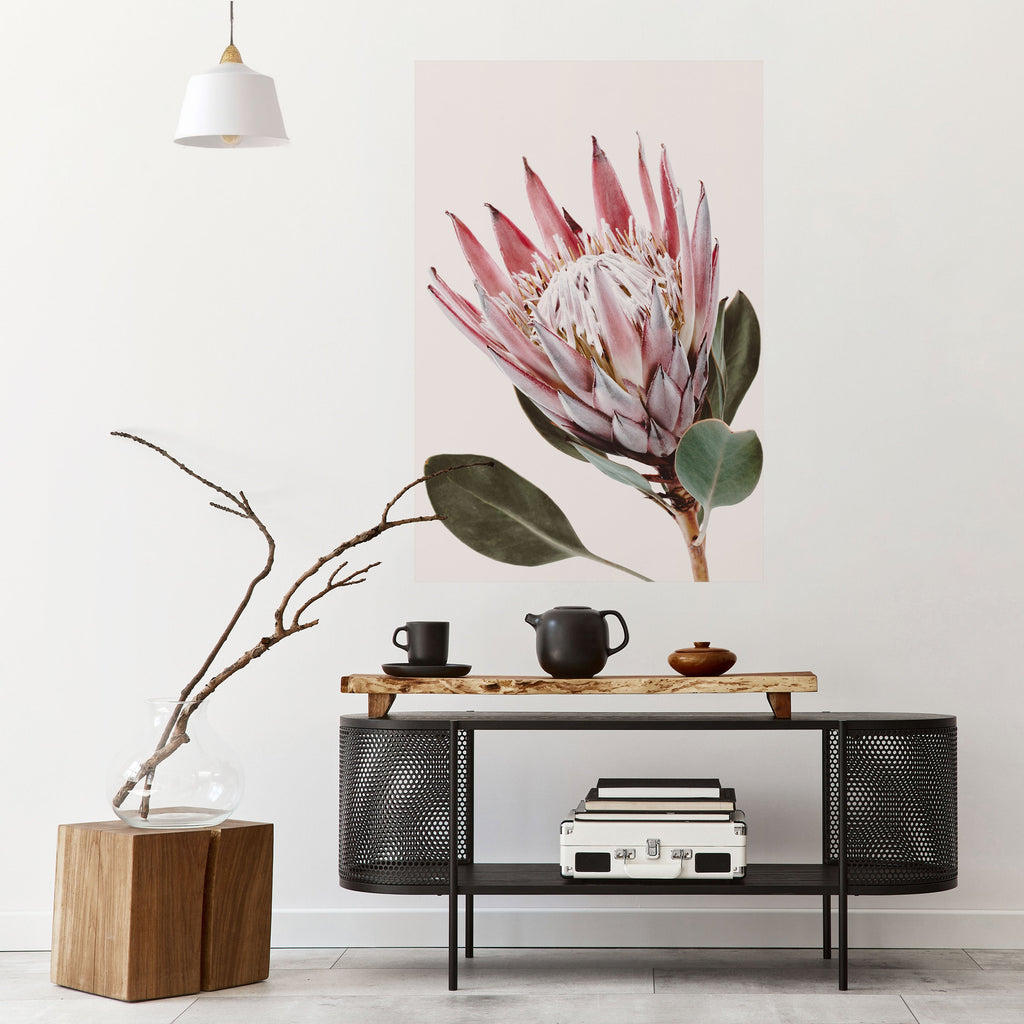 Affiche verticale autocollante « FLEUR DE PROTEA »