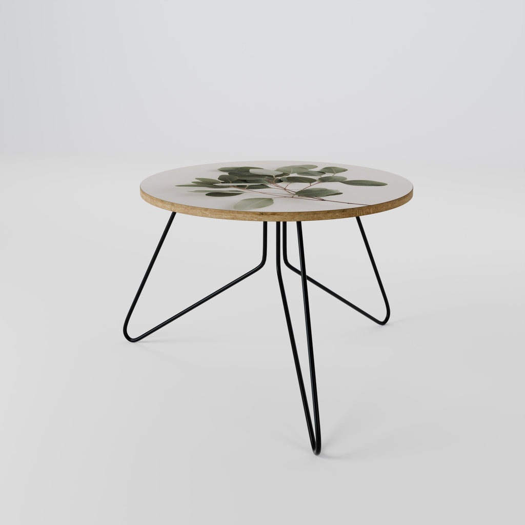 EUCALYPTUS BRANCH Coffee Table 60
