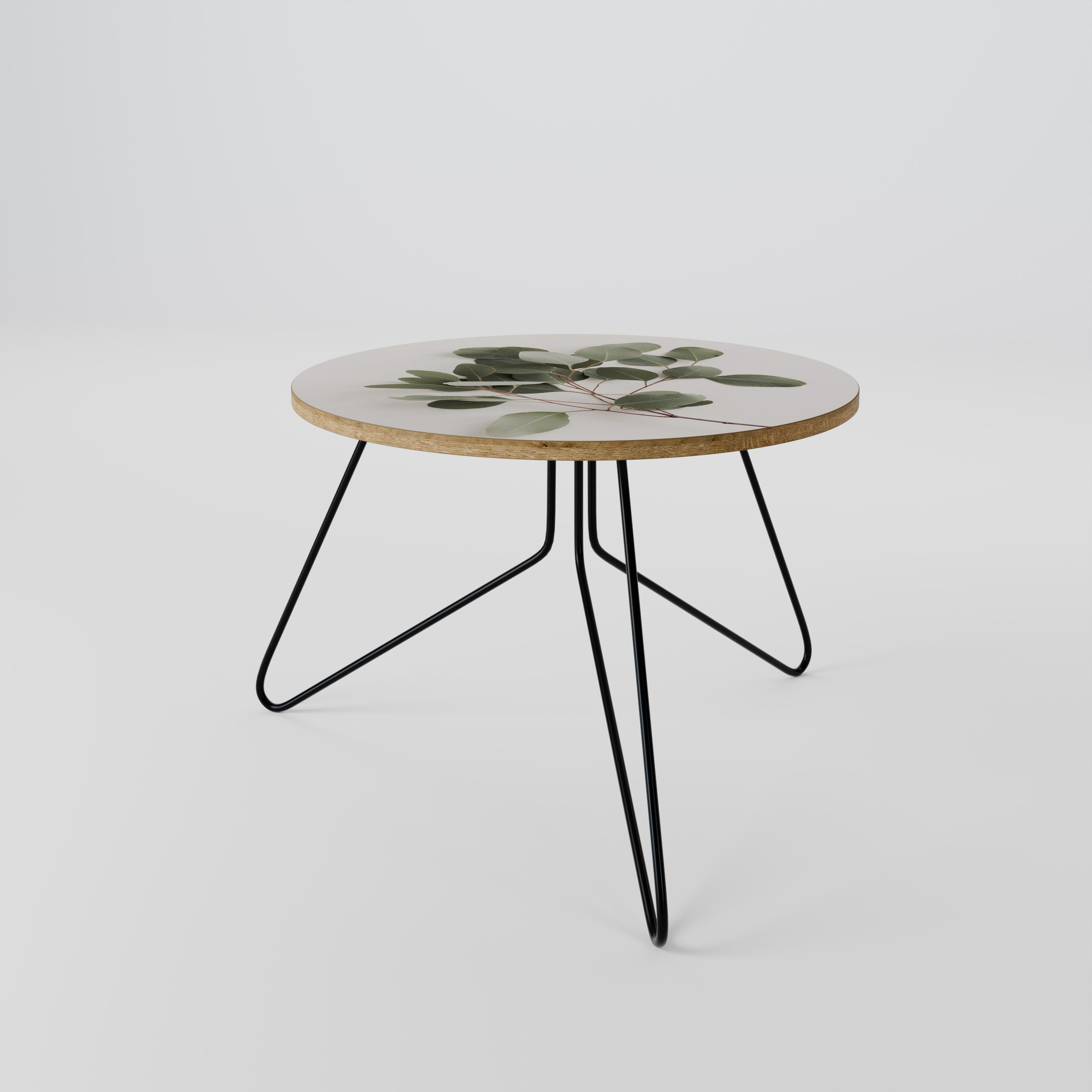 EUCALYPTUS BRANCH Coffee Table 60
