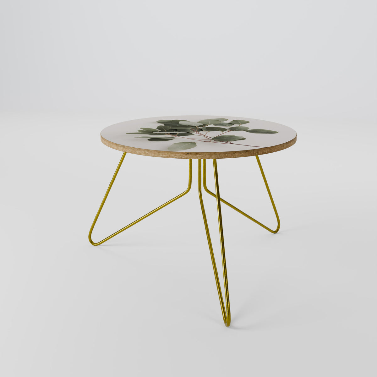EUCALYPTUS BRANCH Coffee Table