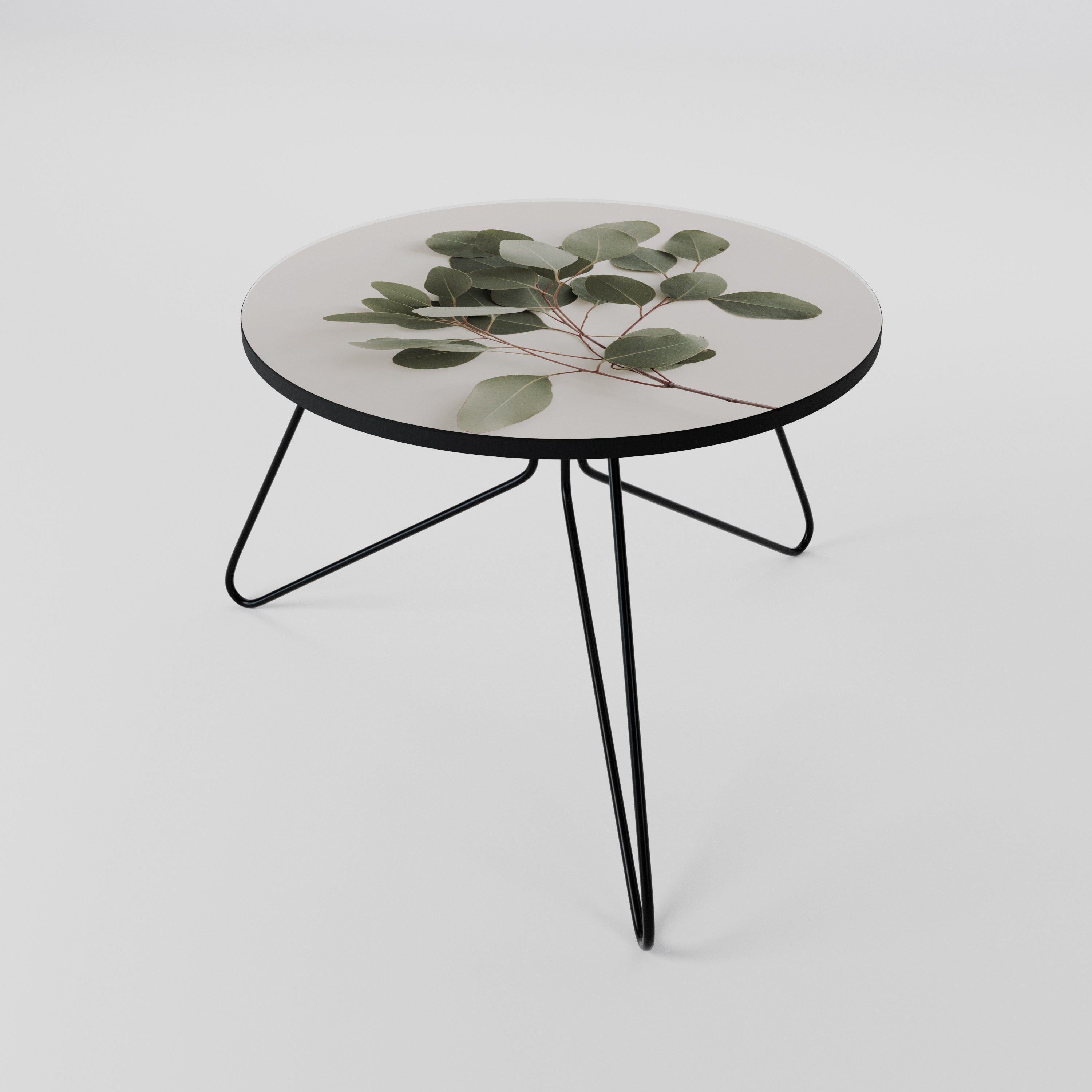 EUCALYPTUS BRANCH Coffee Table 60
