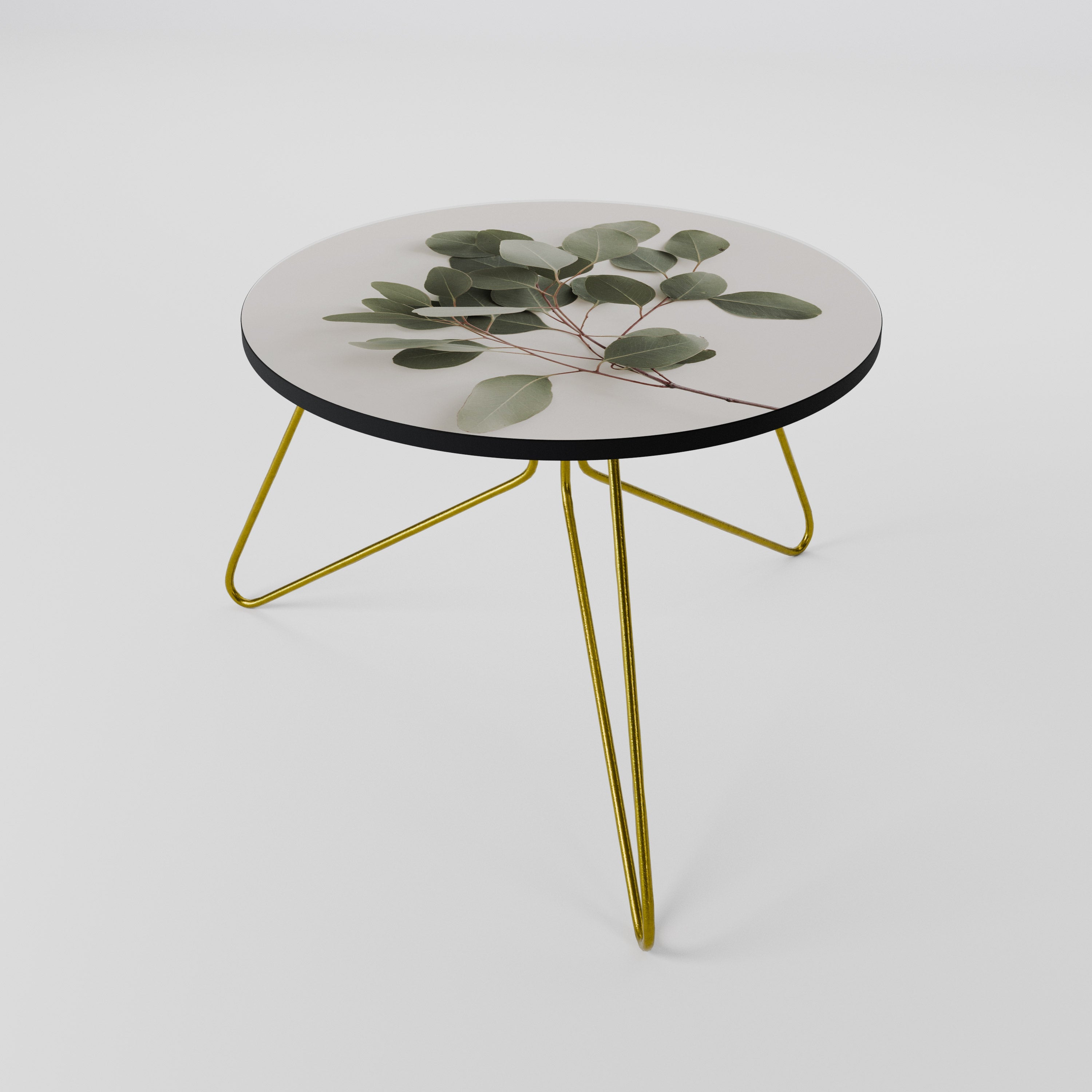 EUCALYPTUS BRANCH Coffee Table 60