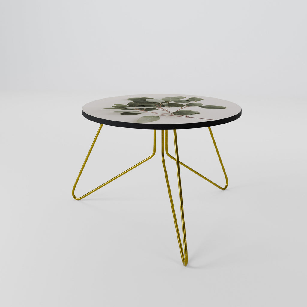 EUCALYPTUS BRANCH Coffee Table 60