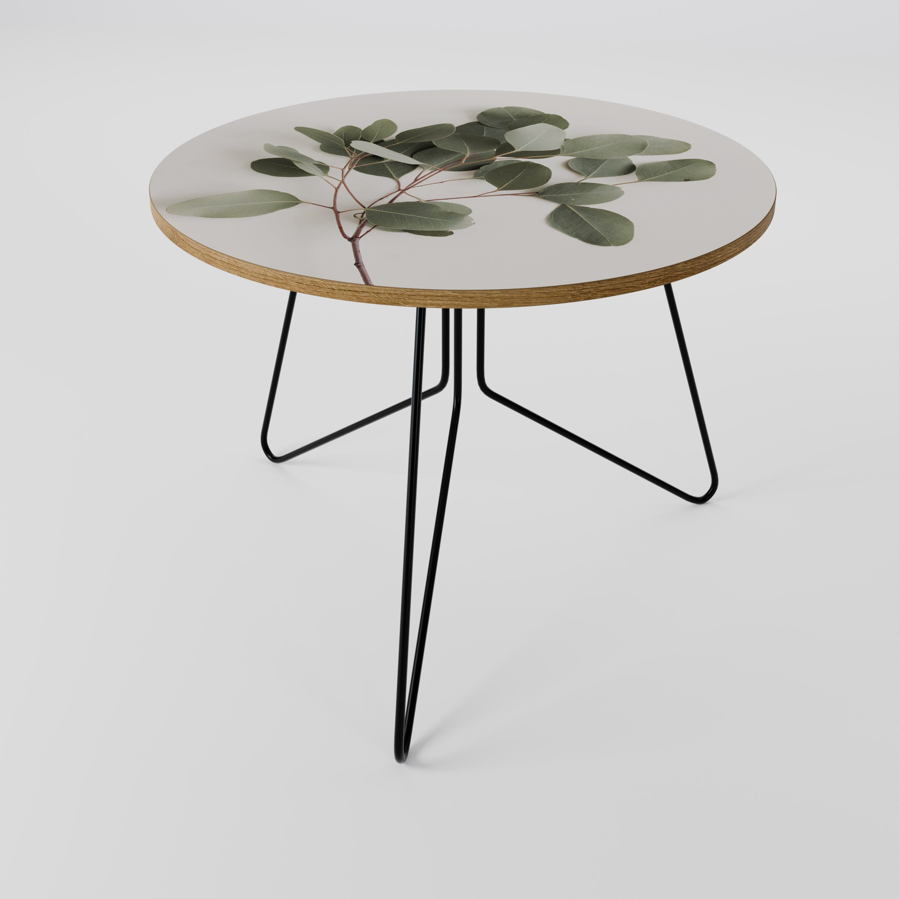 Table basse BRANCHE D'EUCALYPTUS 69