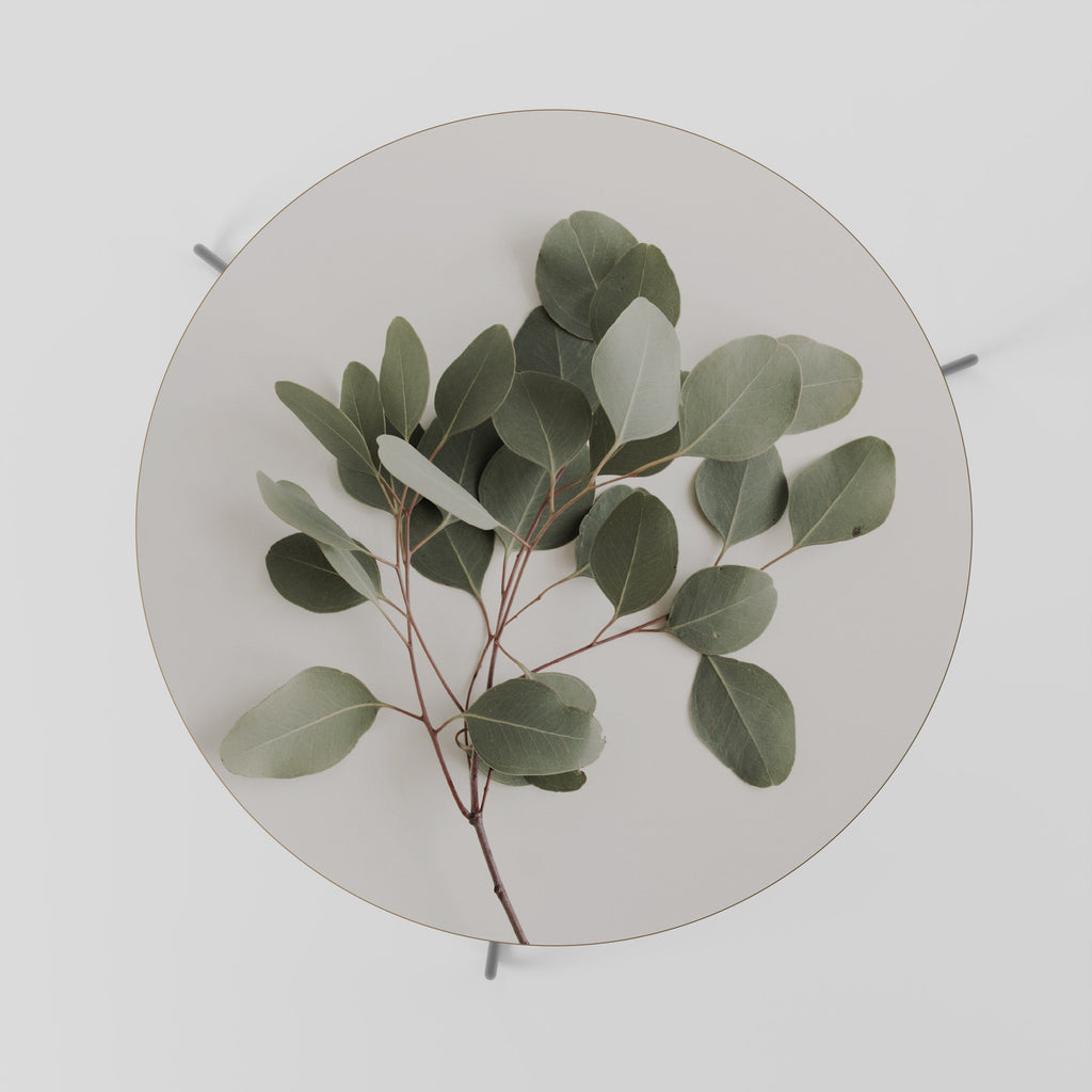 Table basse BRANCHE D'EUCALYPTUS 69