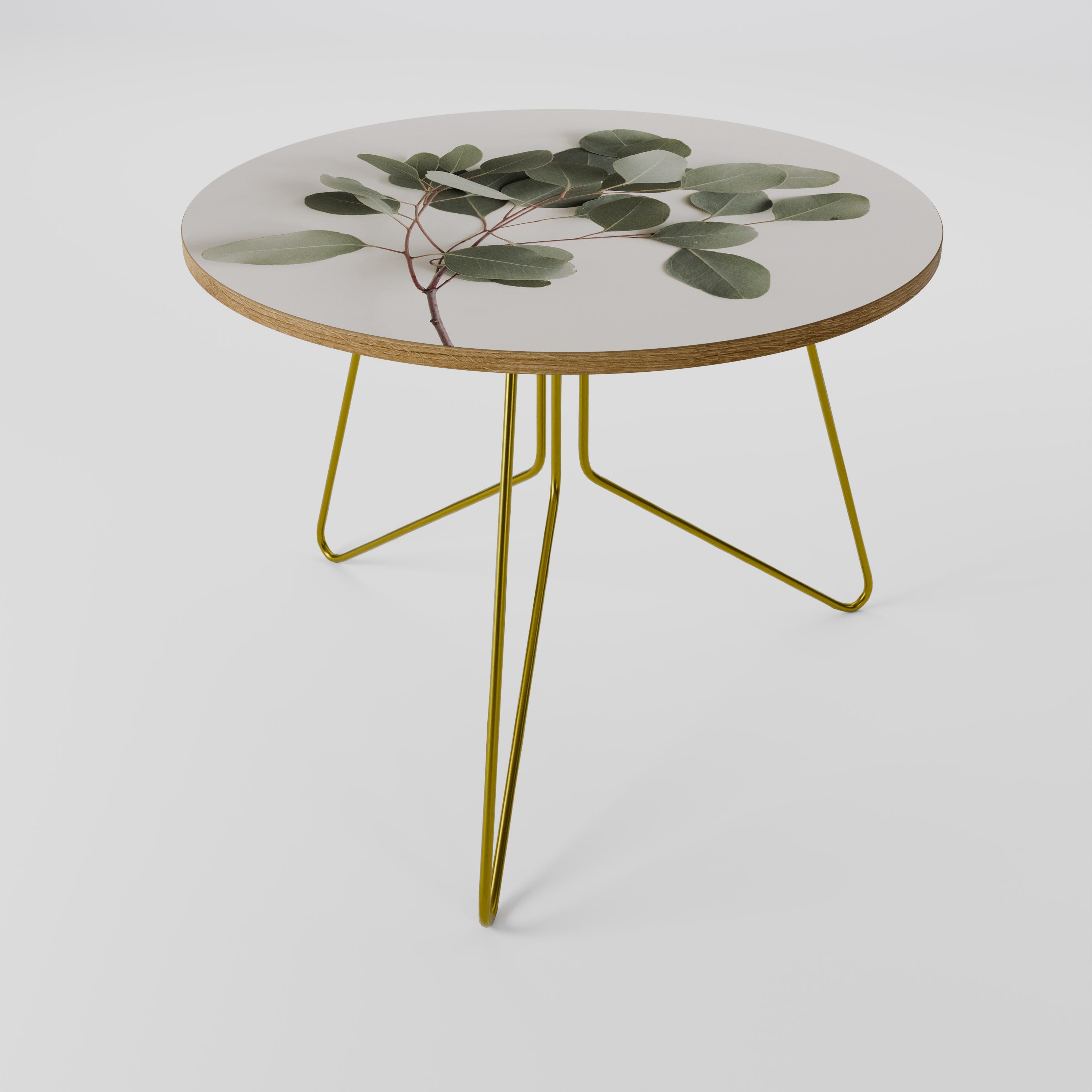 Table basse BRANCHE D'EUCALYPTUS 69