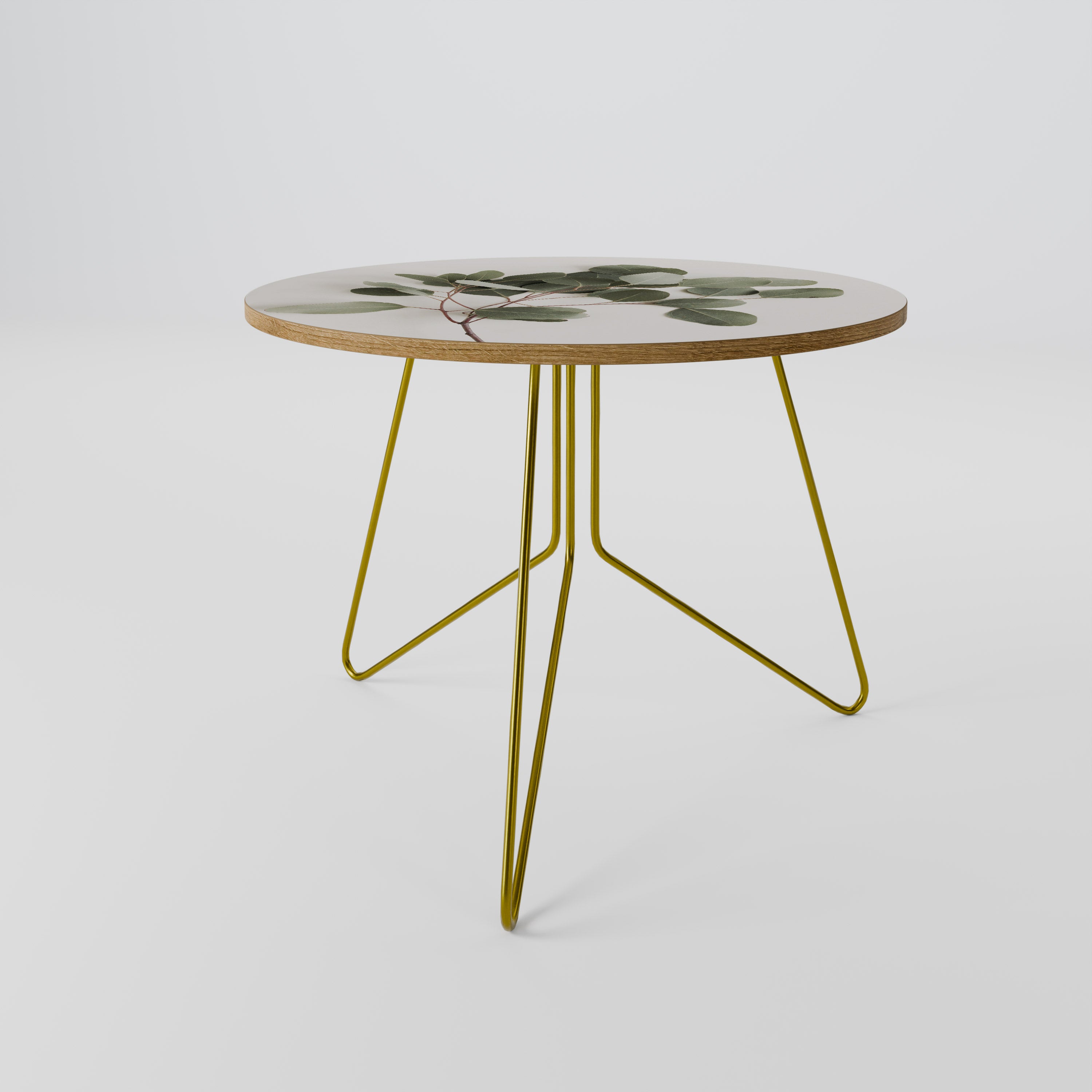 EUCALYPTUS BRANCH Coffee Table